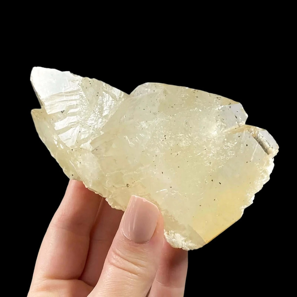 Elmwood “Stellar Beam” Calcite for Transformation and Protection| Stock U Mooncat Crystals