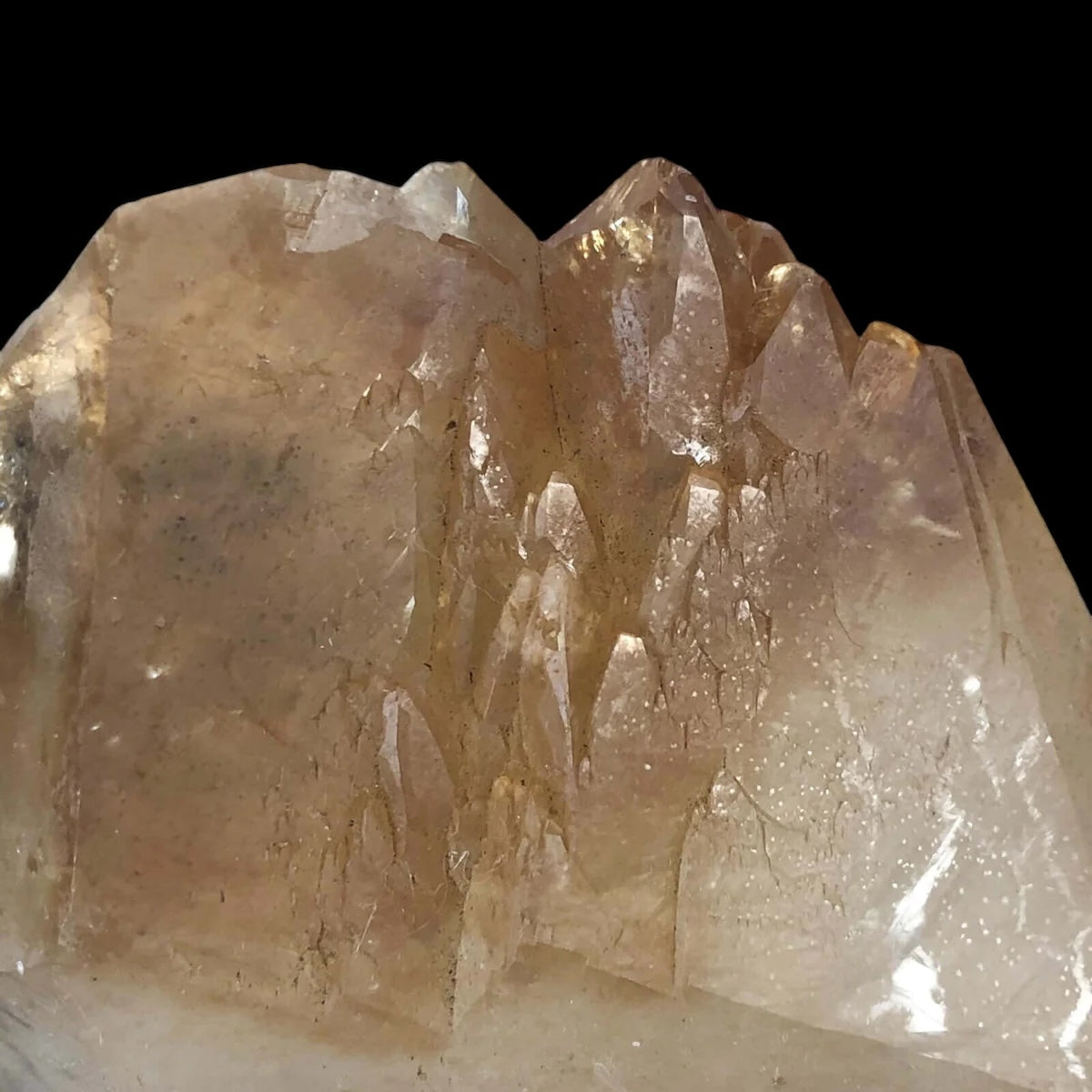 Elmwood “Stellar Beam” Calcite for Transformation and Protection| Stock X Mooncat Crystals