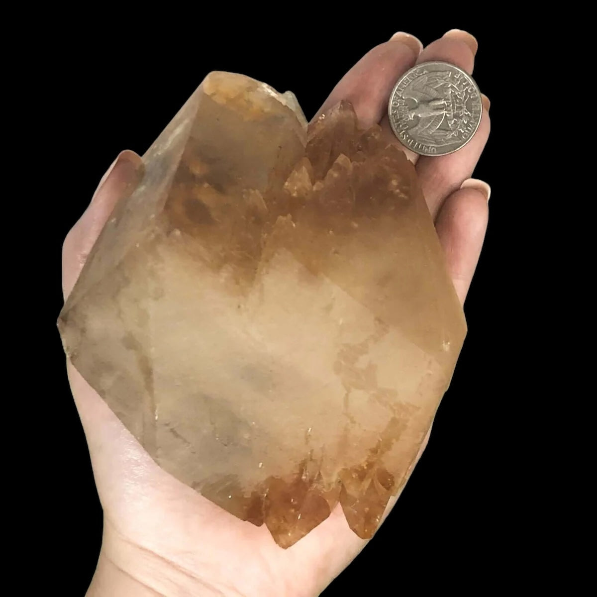 Elmwood “Stellar Beam” Calcite for Transformation and Protection| Stock X Mooncat Crystals