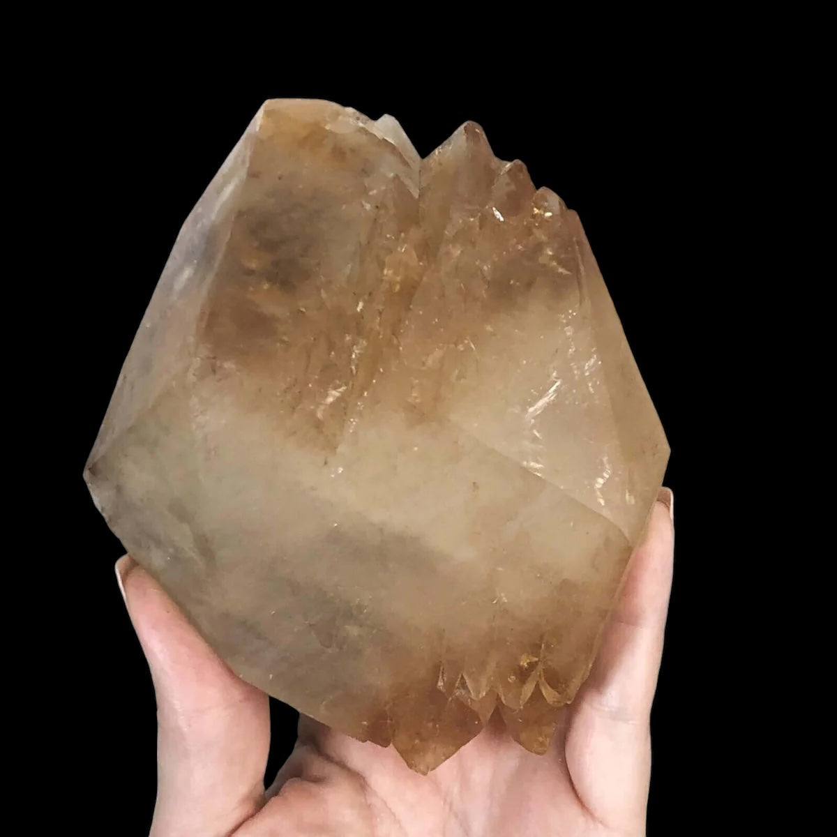 Elmwood “Stellar Beam” Calcite for Transformation and Protection| Stock X Mooncat Crystals