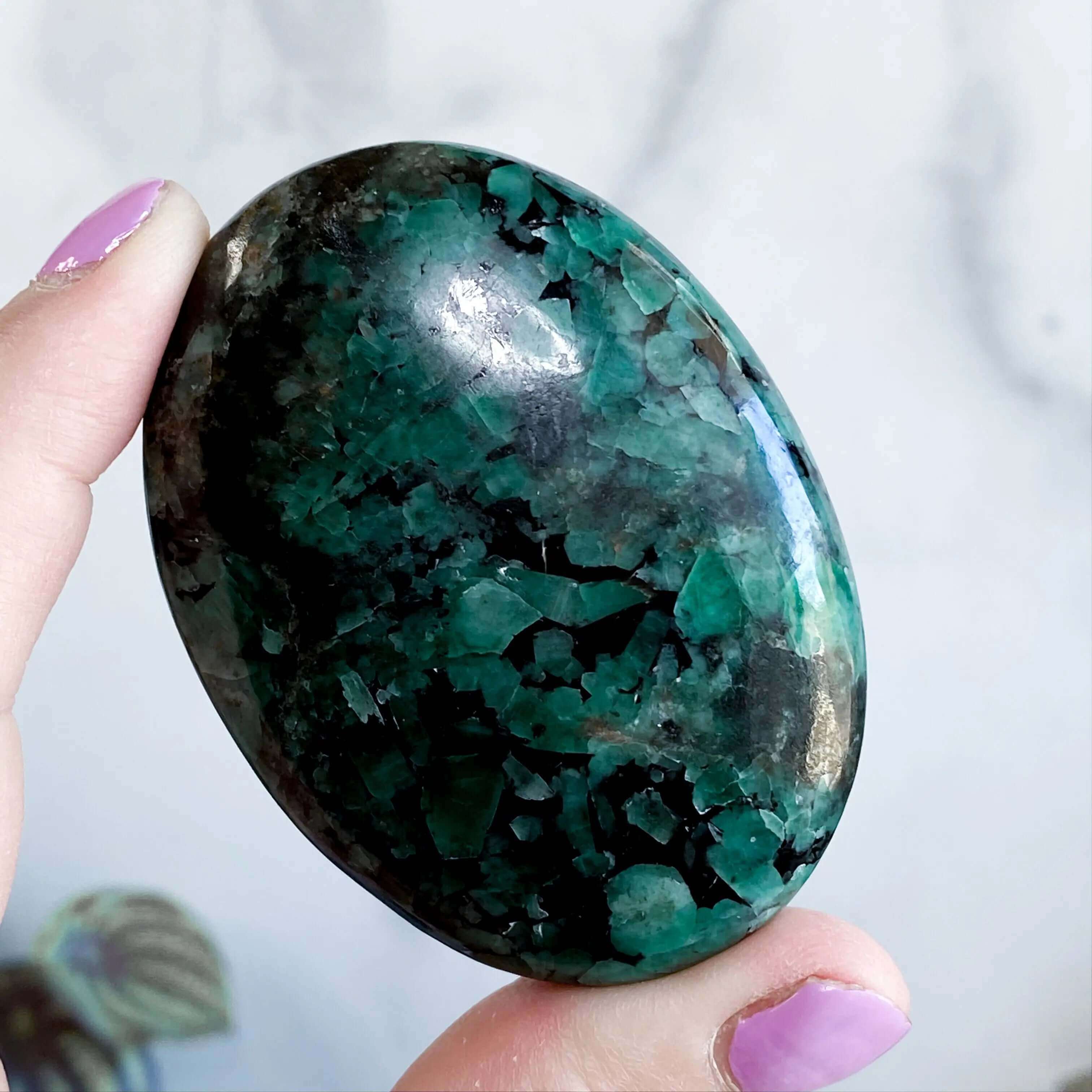 Emerald Palm Stone | Stock B Mooncat Crystals