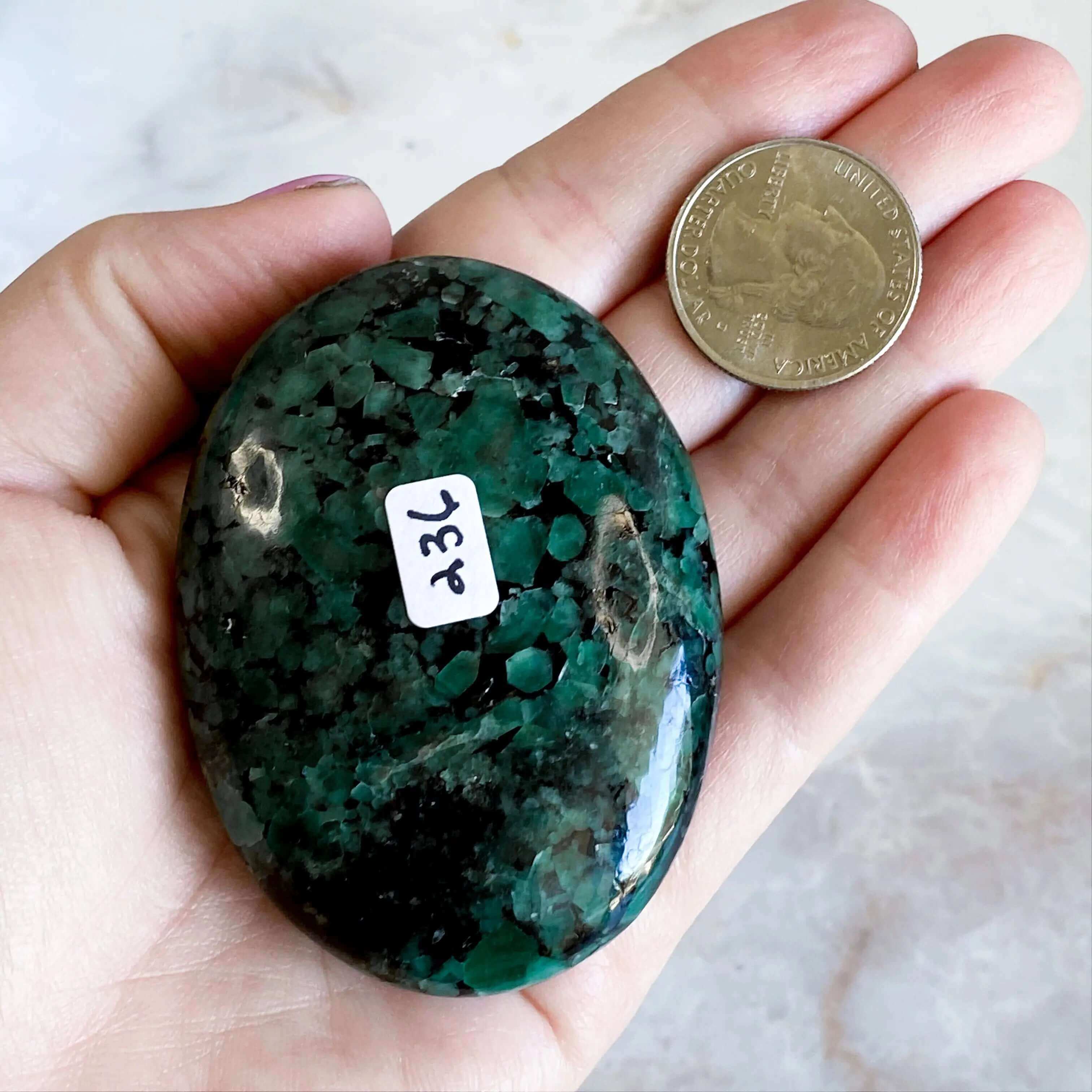 Emerald Palm Stone | Stock B Mooncat Crystals