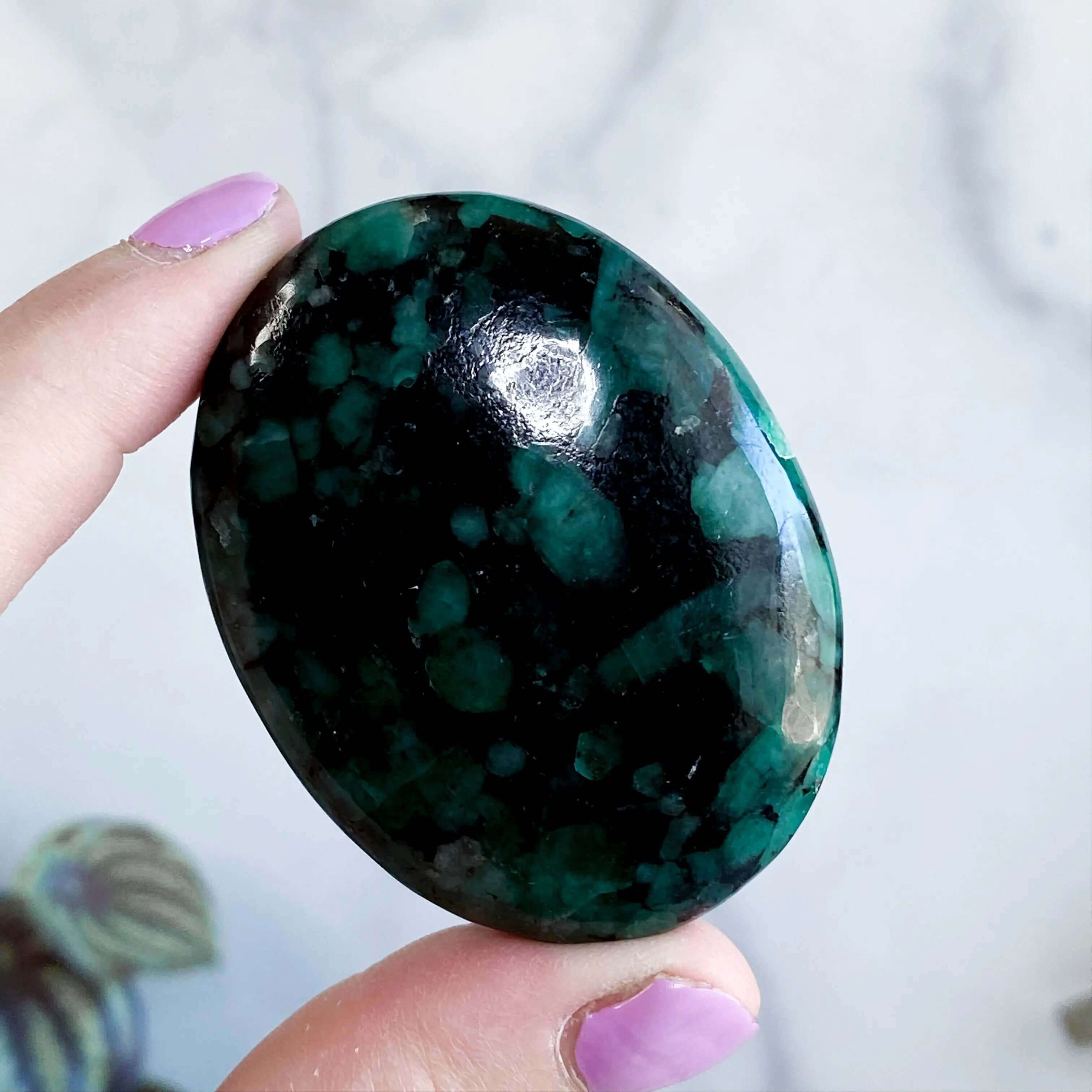 Emerald Palm Stone | Stock C Mooncat Crystals