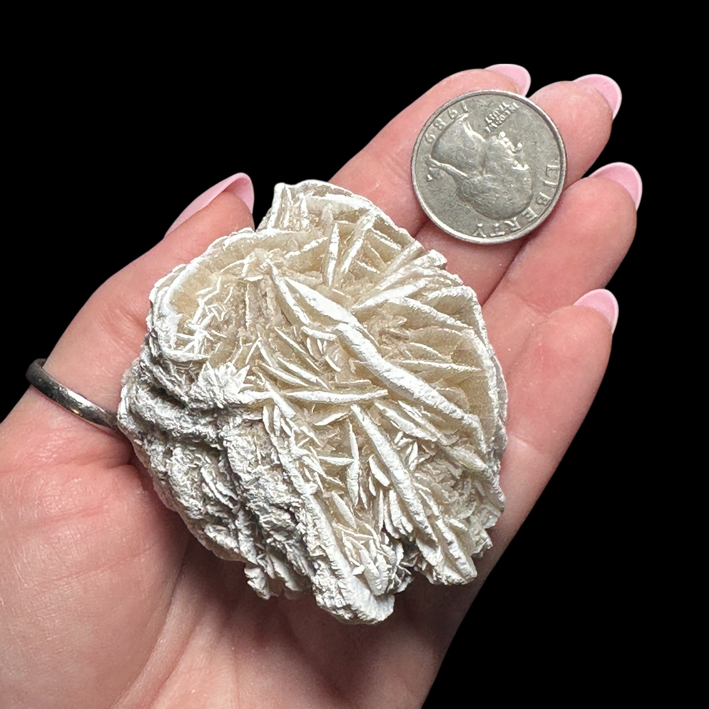 Desert Rose Selenite | Stock B