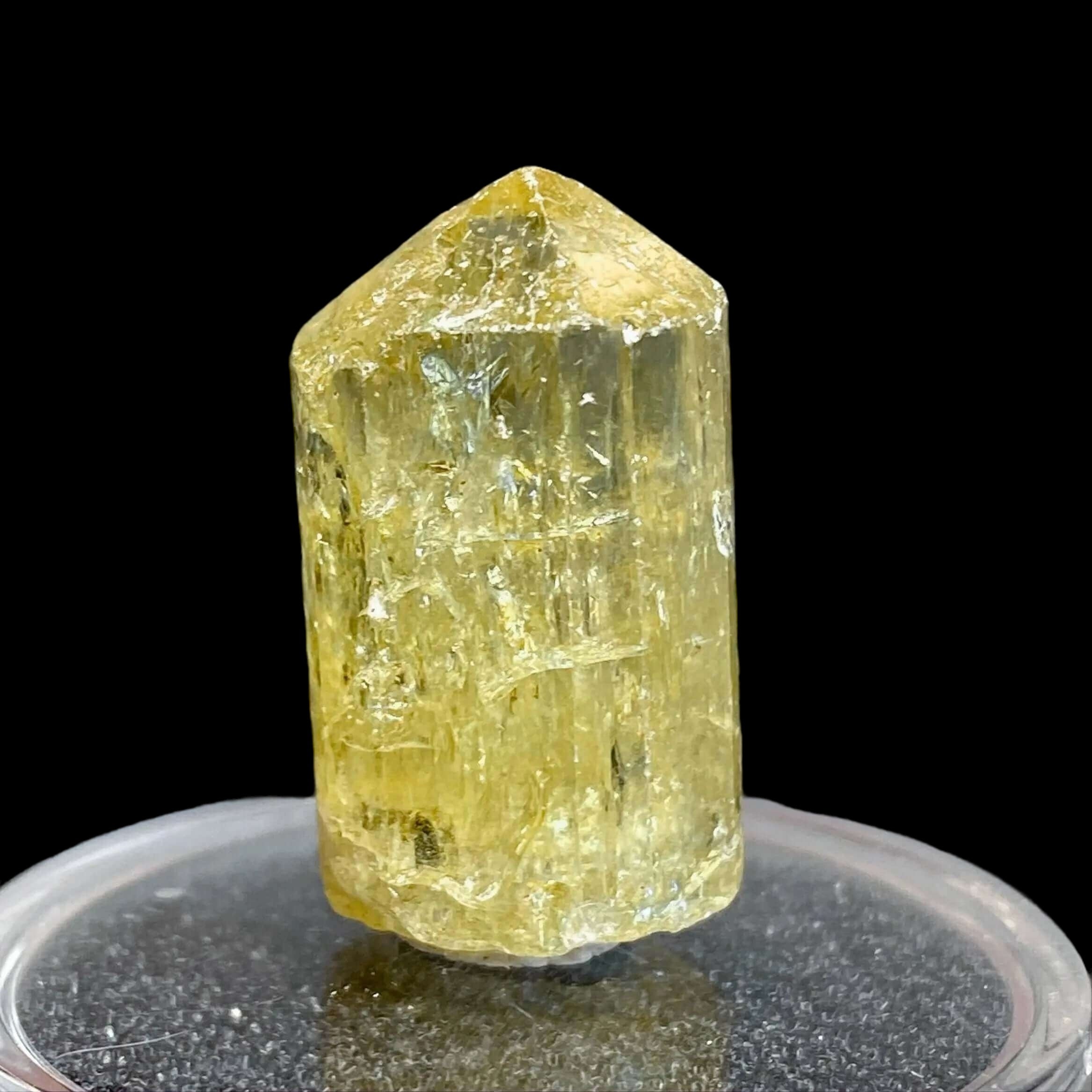 Golden Apatite for Manifestation and Clarity | Stock J Mooncat Crystals