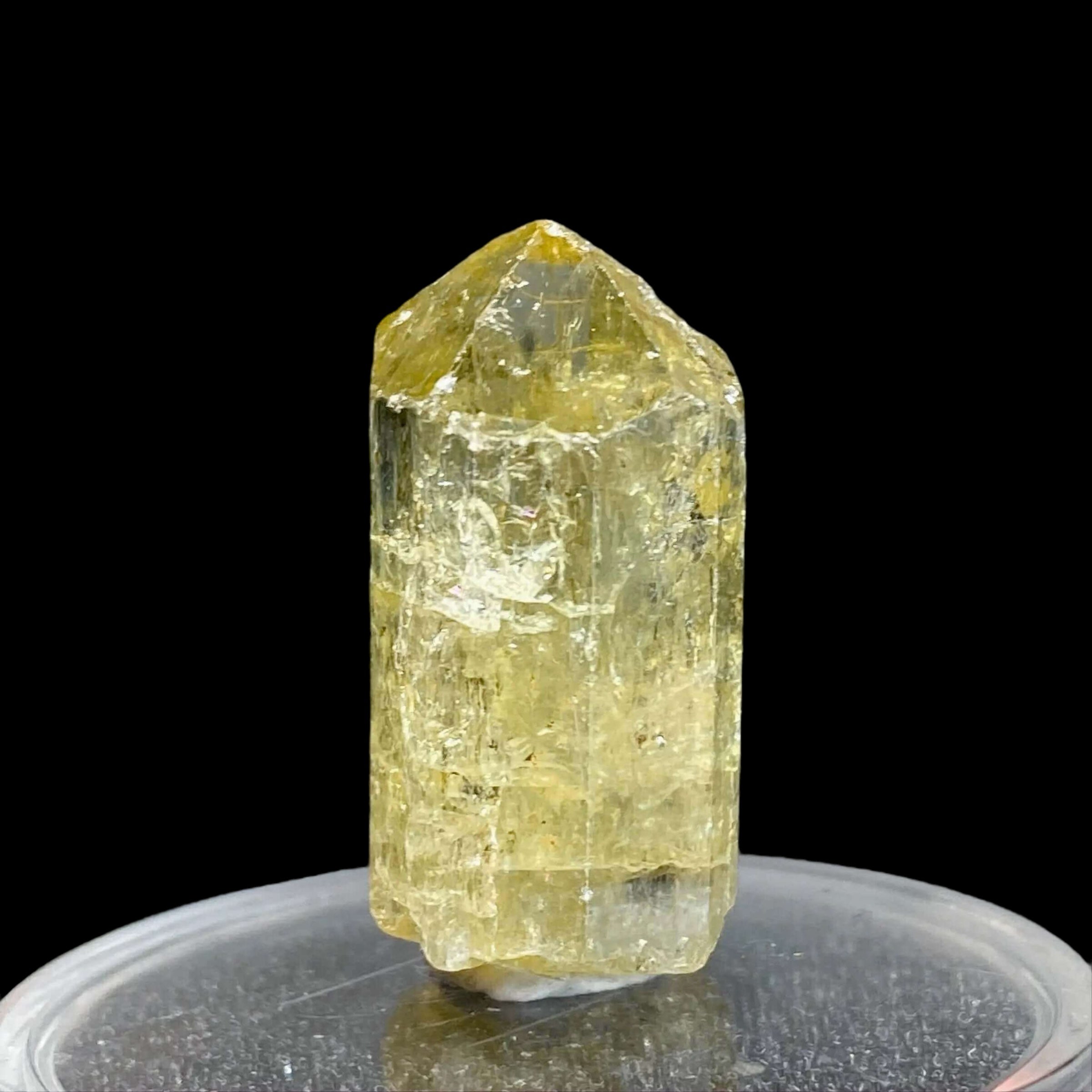 Golden Apatite for Manifestation and Clarity | Stock J Mooncat Crystals