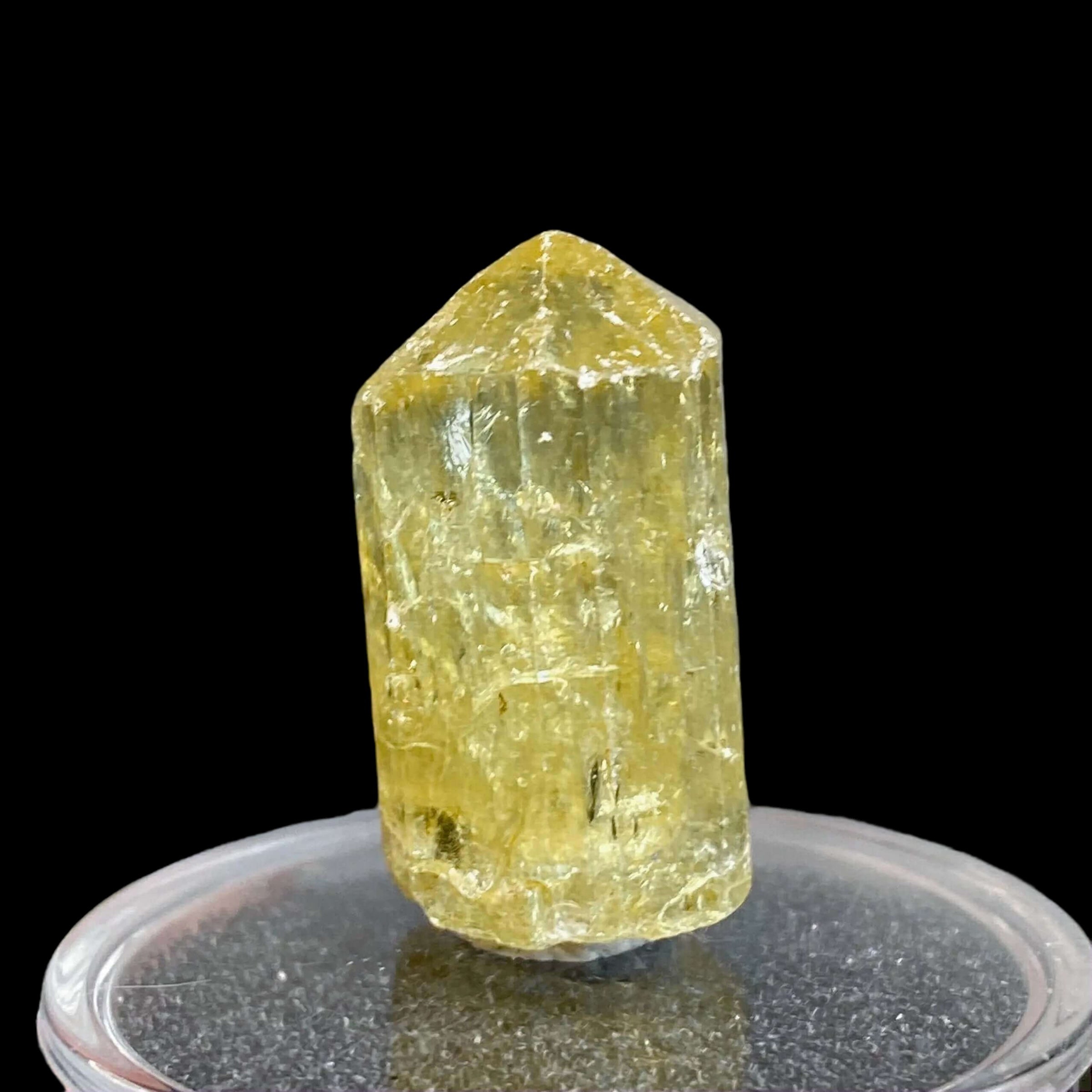 Golden Apatite for Manifestation and Clarity | Stock J Mooncat Crystals