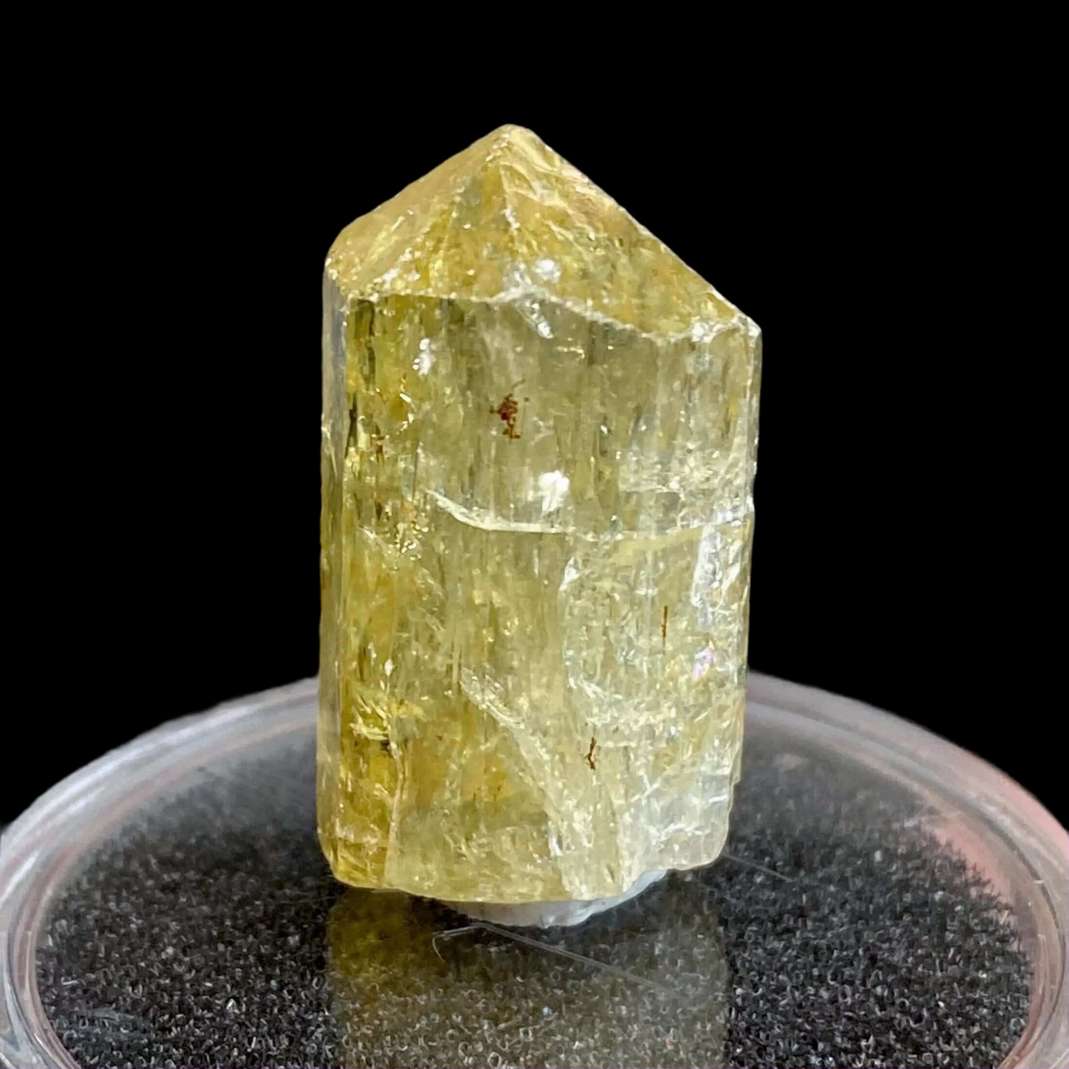 Golden Apatite for Manifestation and Clarity | Stock J Mooncat Crystals