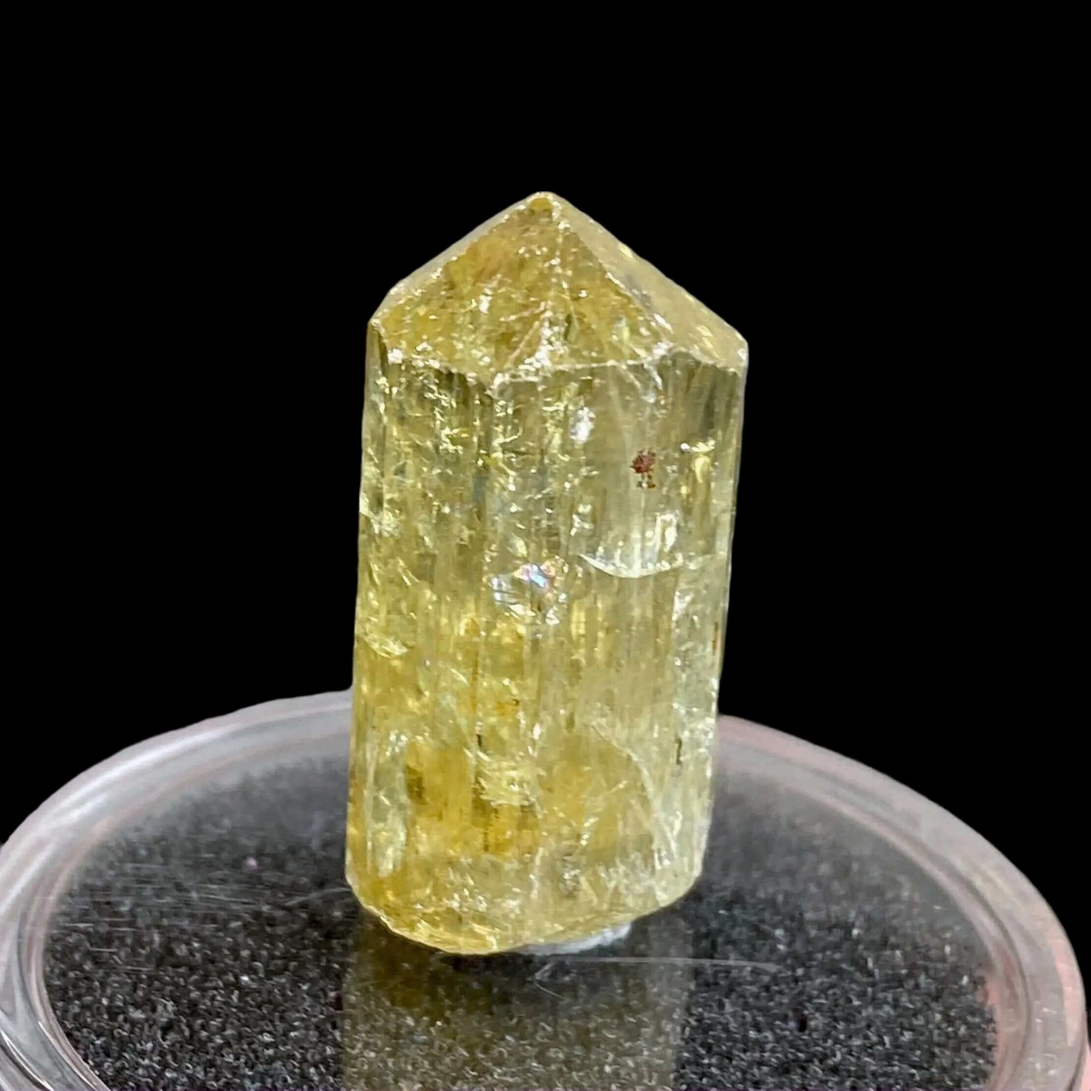 Golden Apatite for Manifestation and Clarity | Stock J Mooncat Crystals