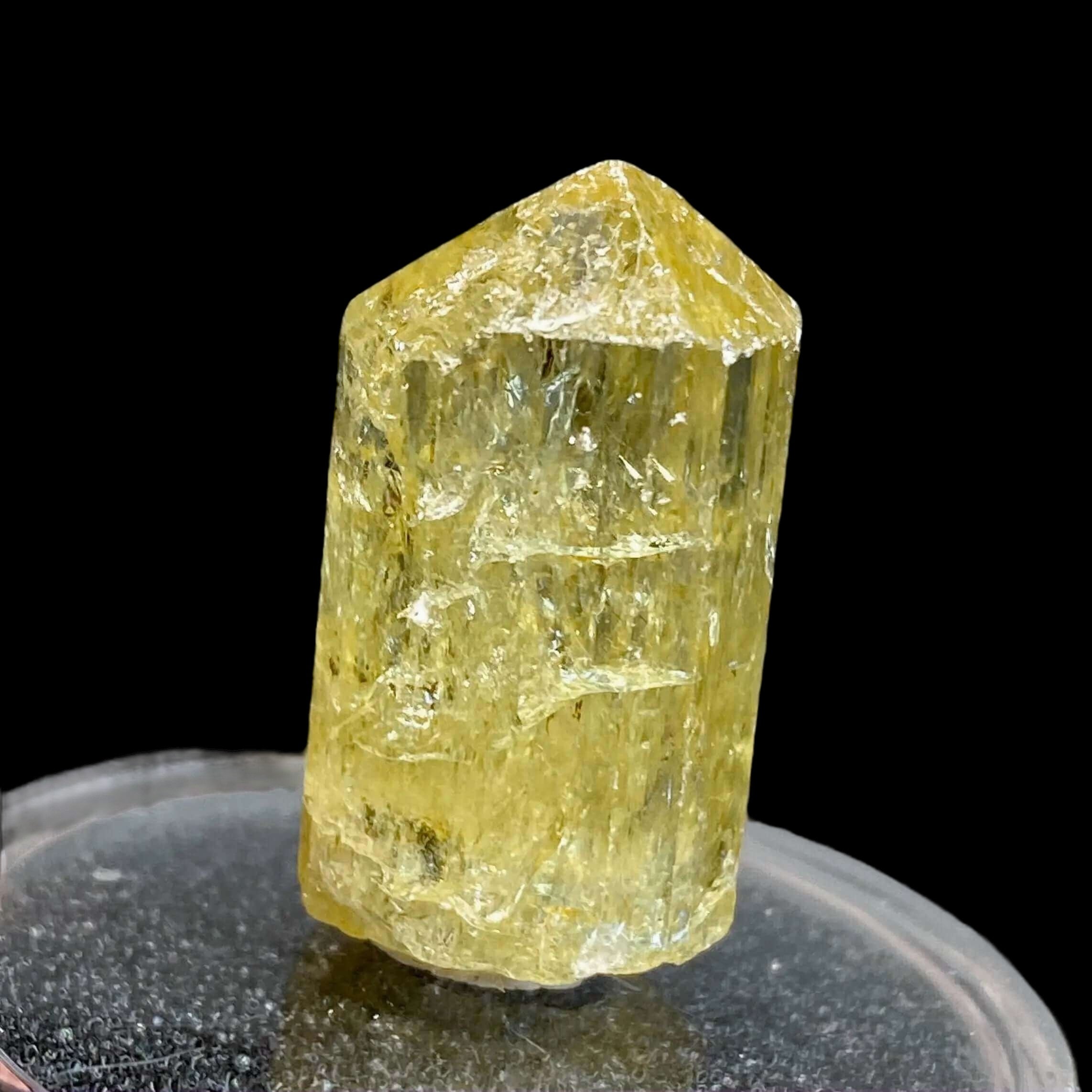 Golden Apatite for Manifestation and Clarity | Stock J Mooncat Crystals