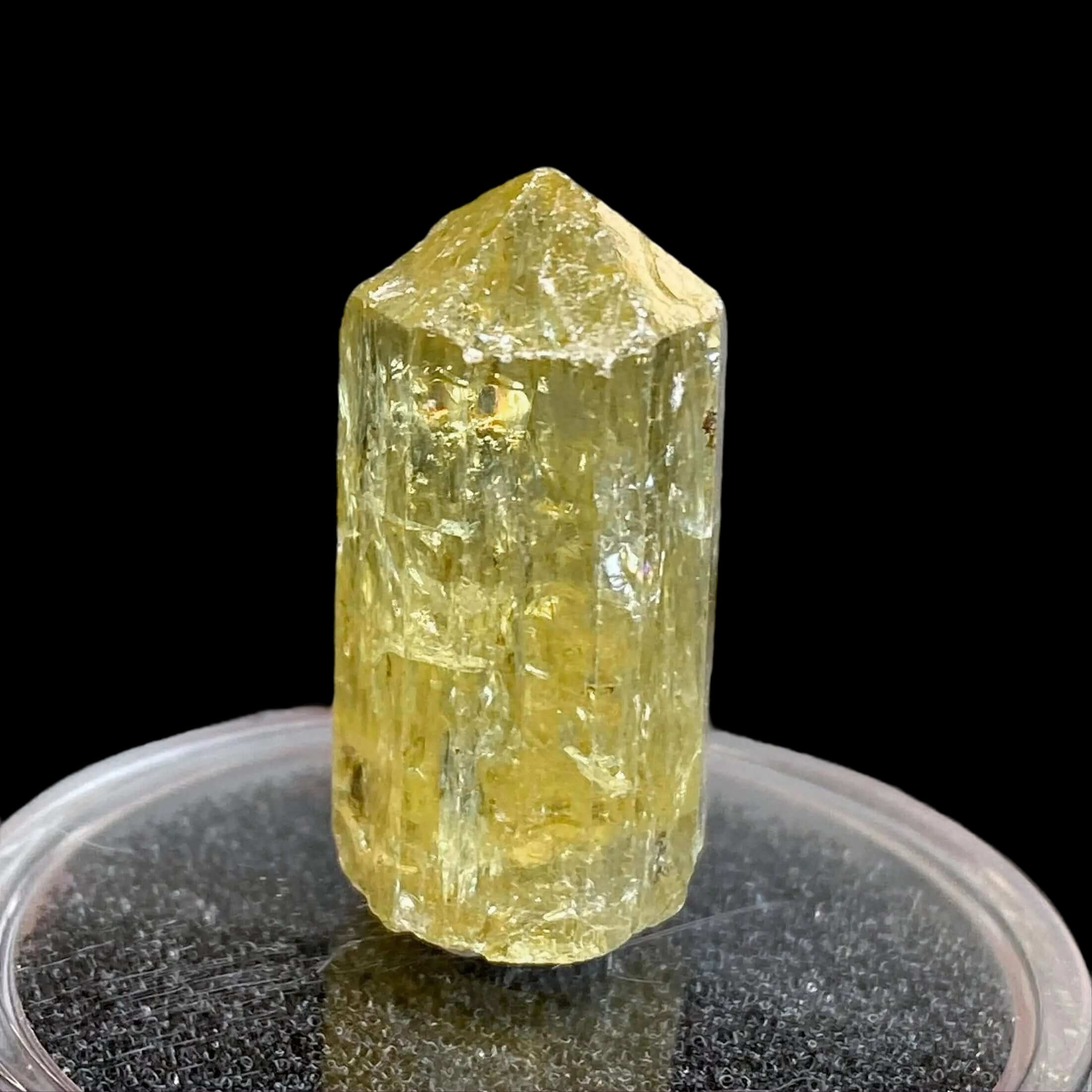 Golden Apatite for Manifestation and Clarity | Stock J Mooncat Crystals