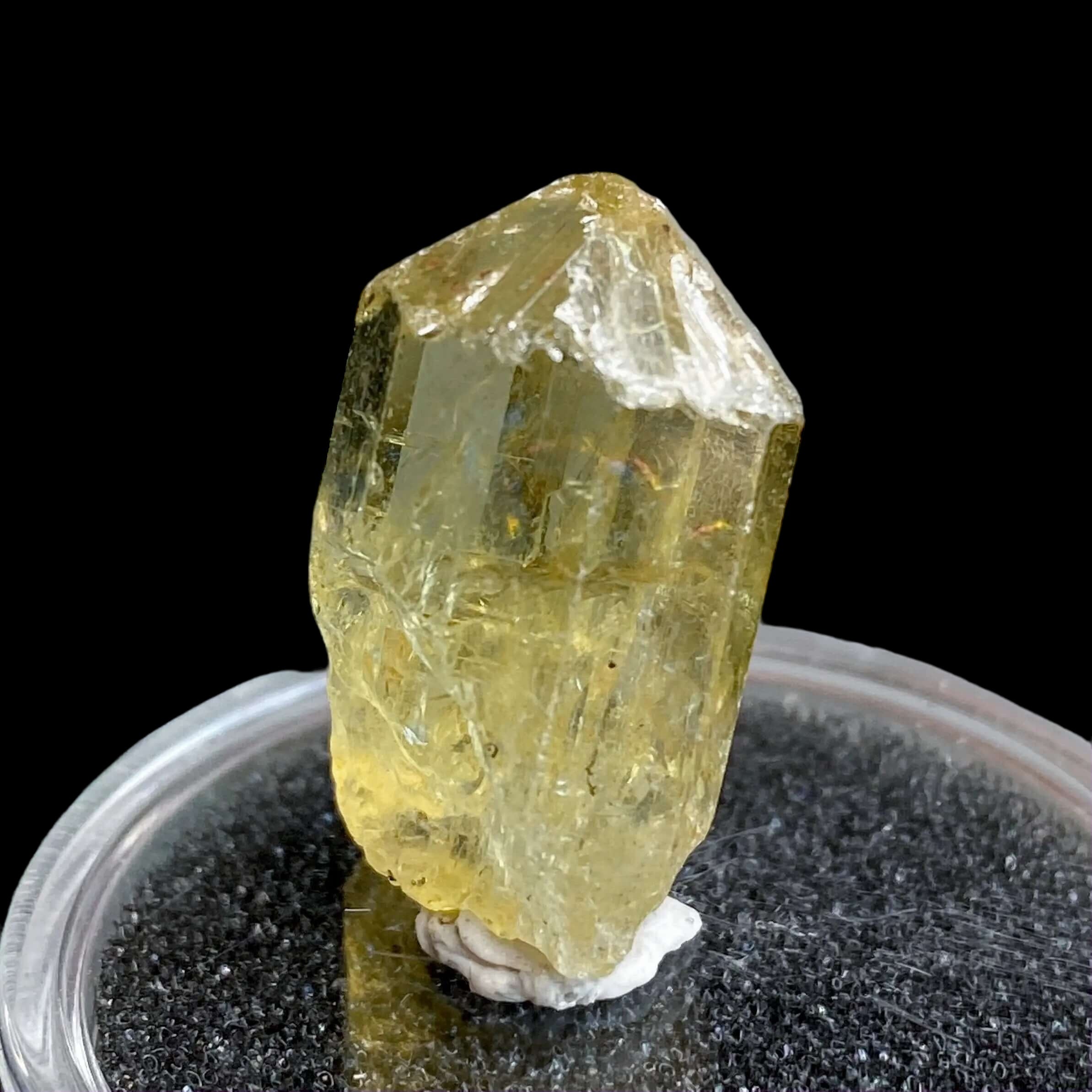 Golden Apatite for Manifestation and Clarity | Stock L Mooncat Crystals