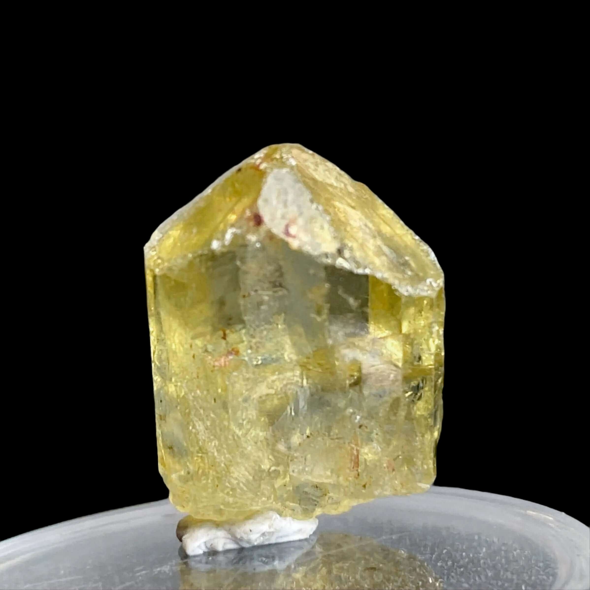 Golden Apatite for Manifestation and Clarity | Stock L Mooncat Crystals