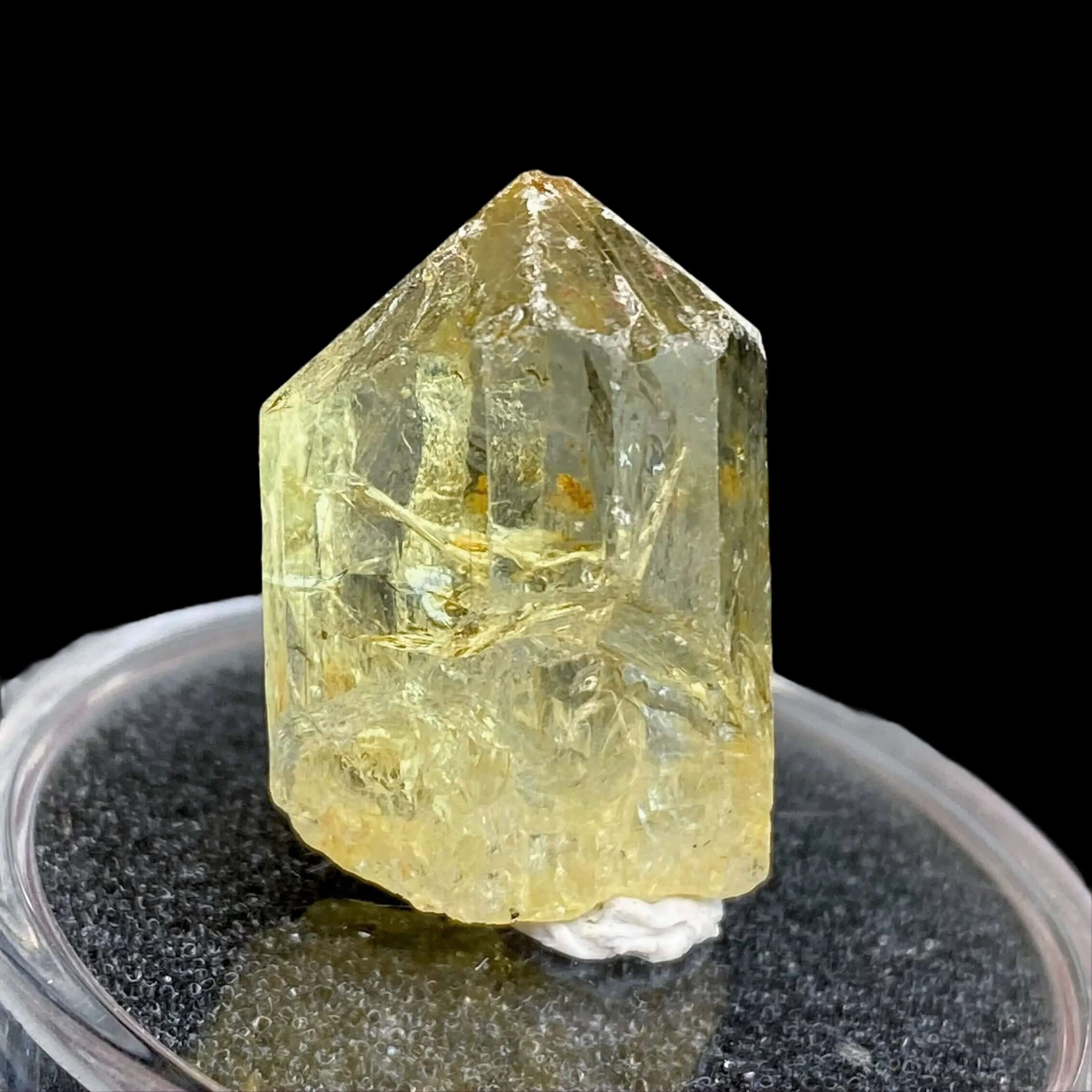 Golden Apatite for Manifestation and Clarity | Stock L Mooncat Crystals