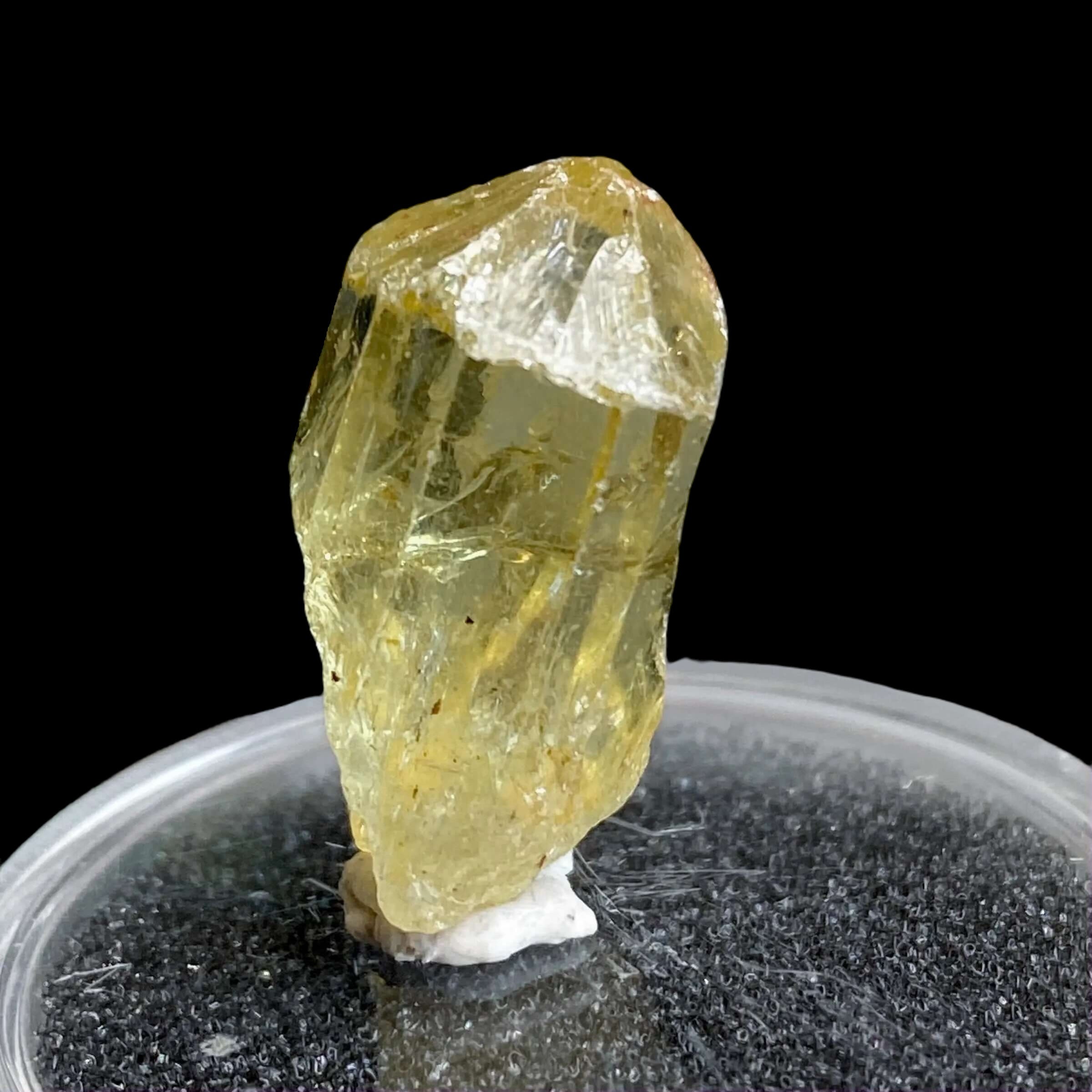 Golden Apatite for Manifestation and Clarity | Stock L Mooncat Crystals