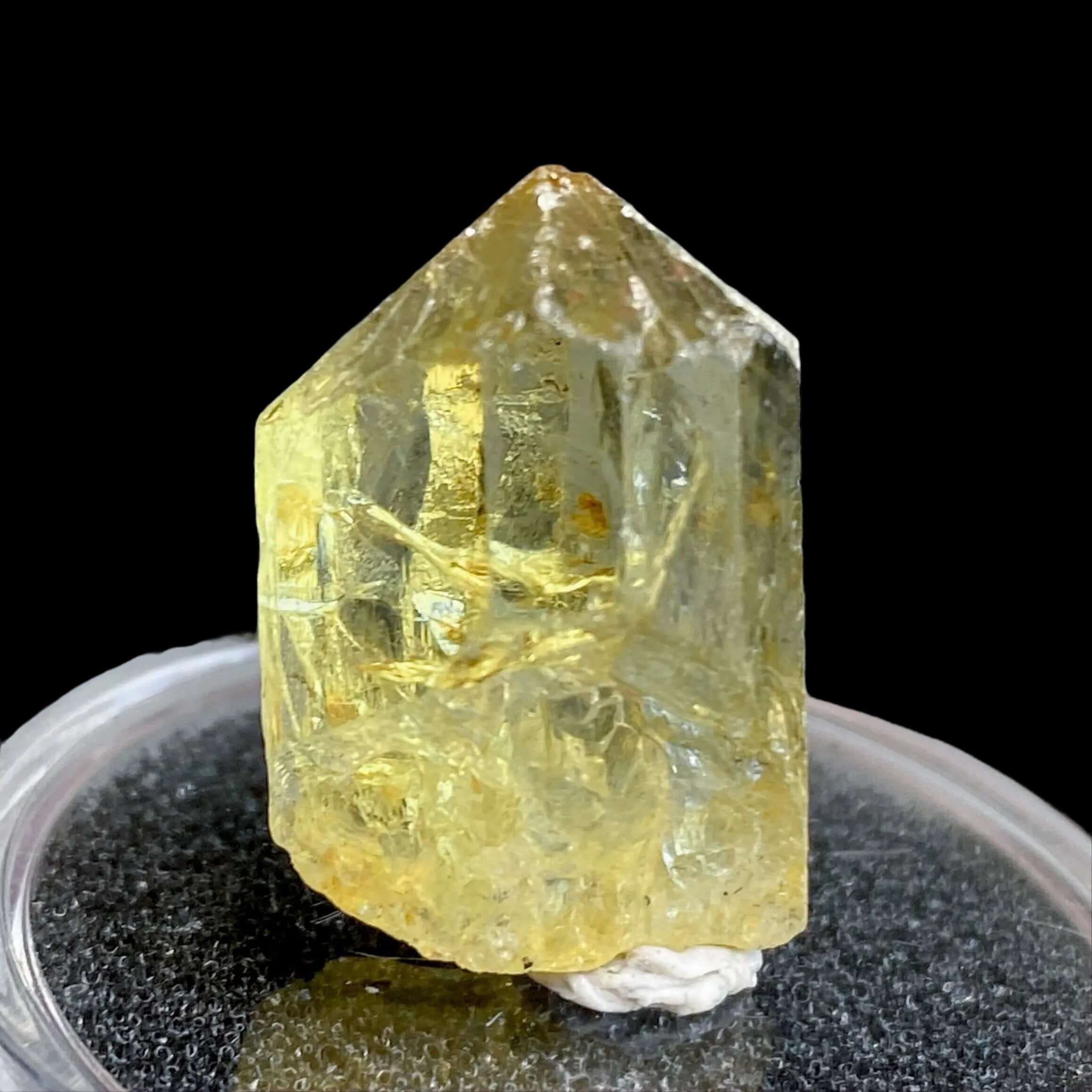 Golden Apatite for Manifestation and Clarity | Stock L Mooncat Crystals