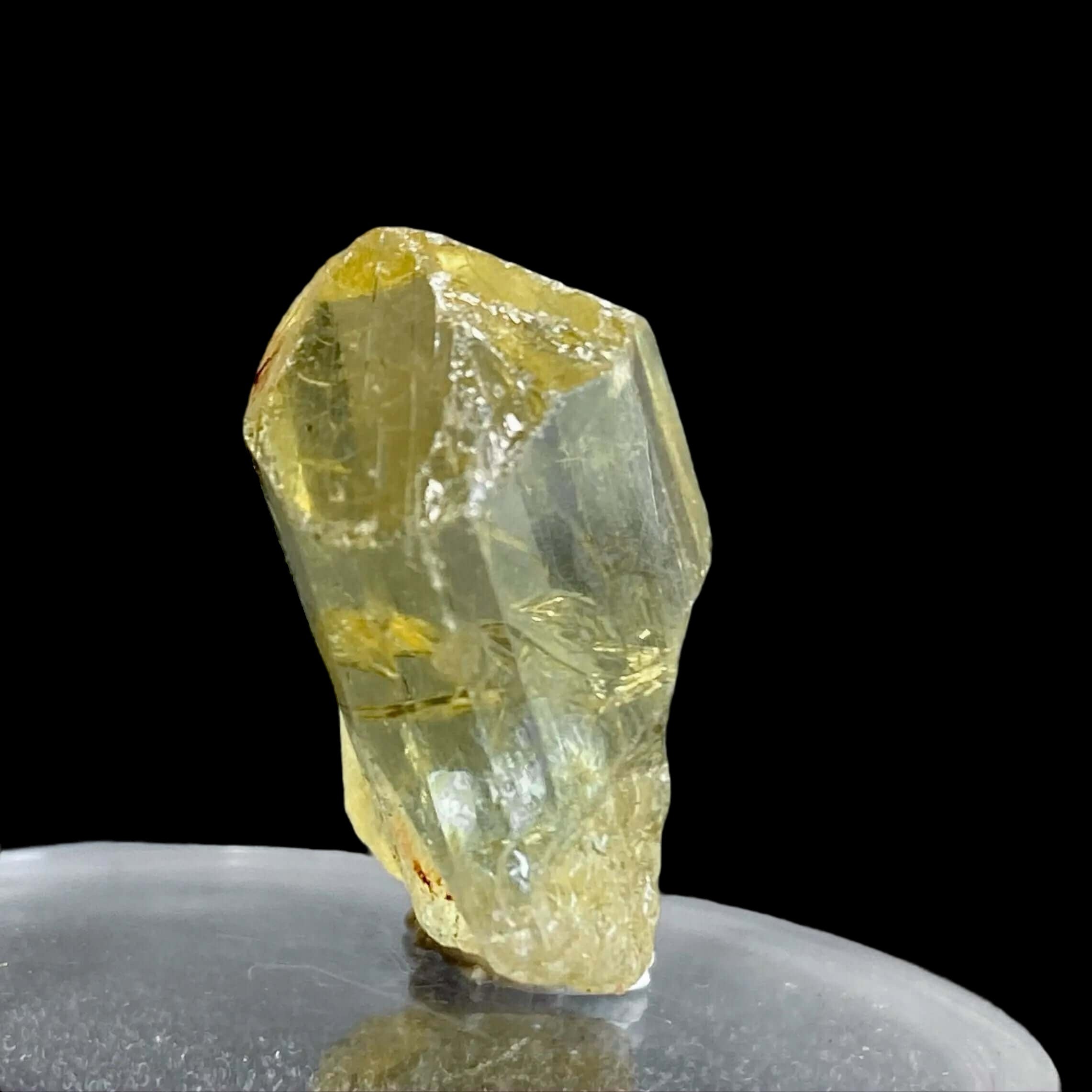 Golden Apatite for Manifestation and Clarity | Stock L Mooncat Crystals