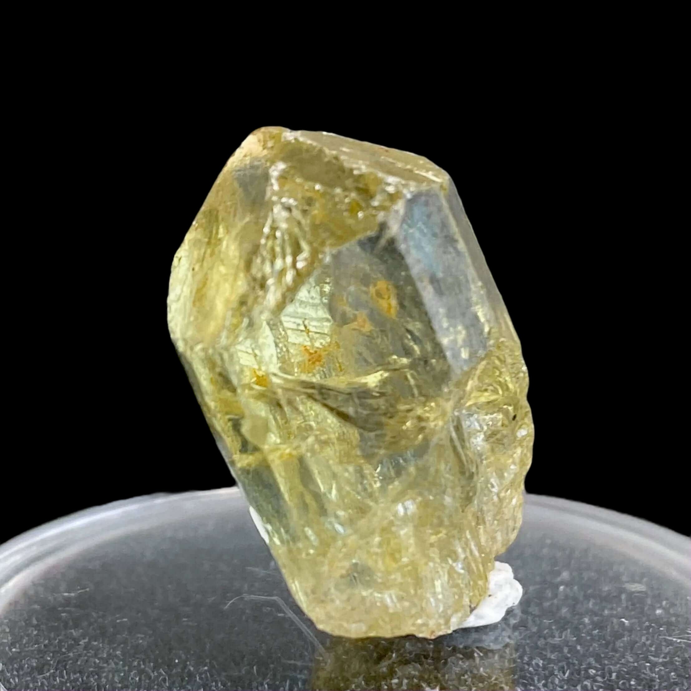 Golden Apatite for Manifestation and Clarity | Stock L Mooncat Crystals