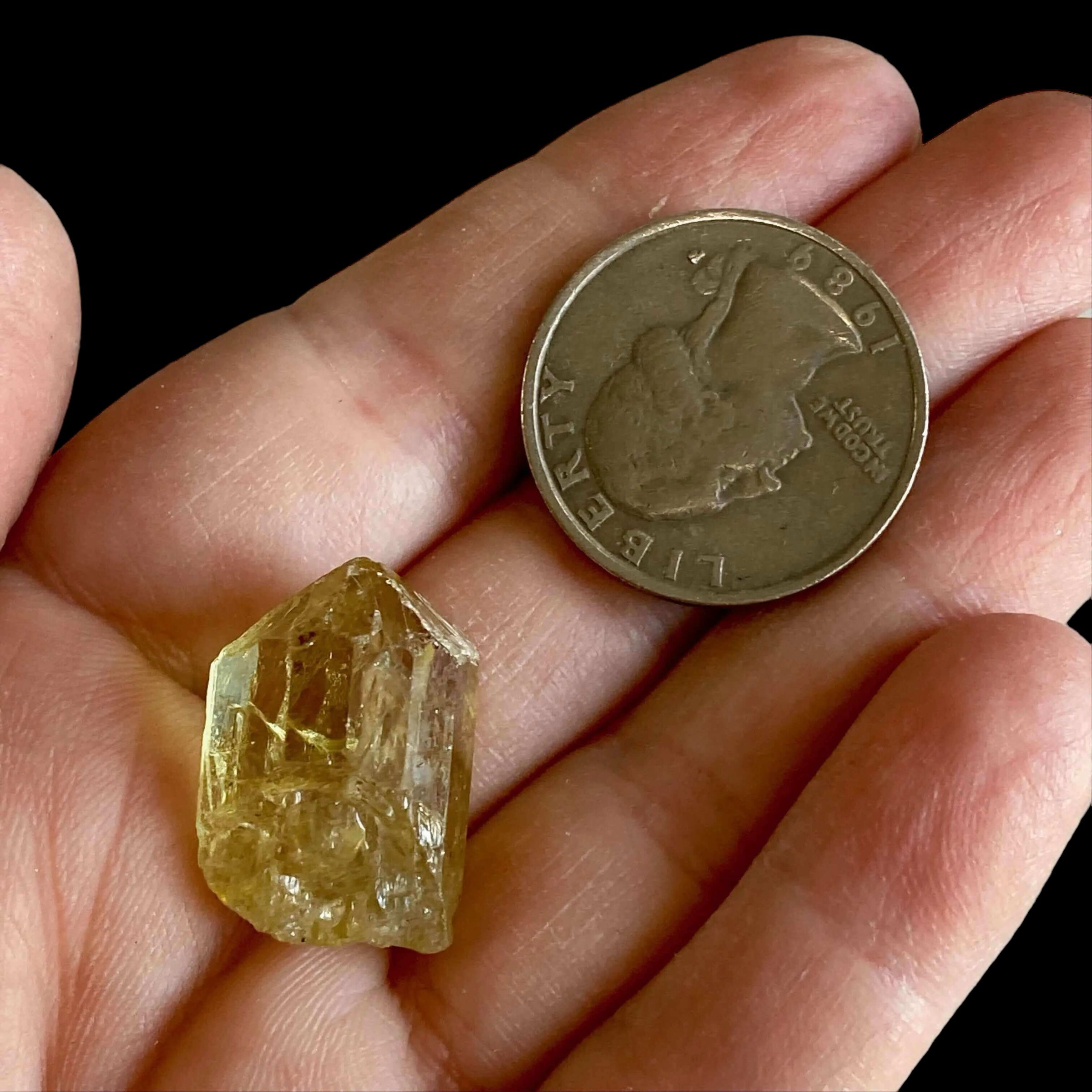 Golden Apatite for Manifestation and Clarity | Stock L Mooncat Crystals