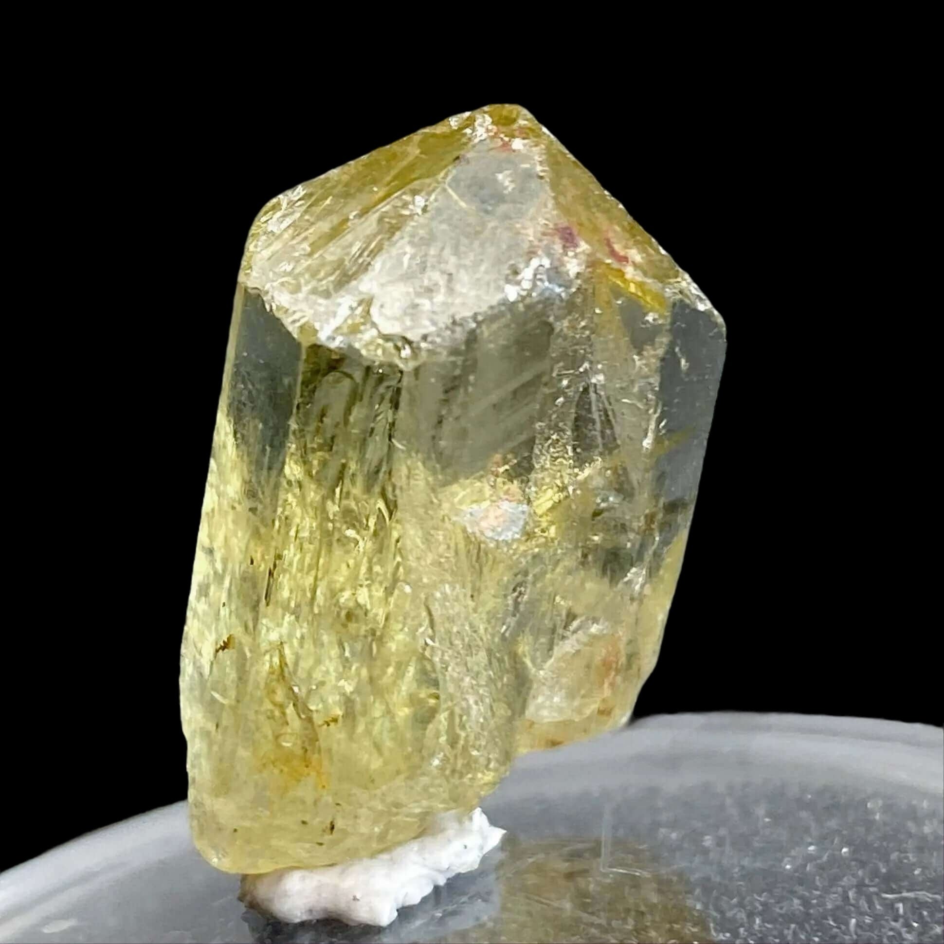 Golden Apatite for Manifestation and Clarity | Stock L Mooncat Crystals