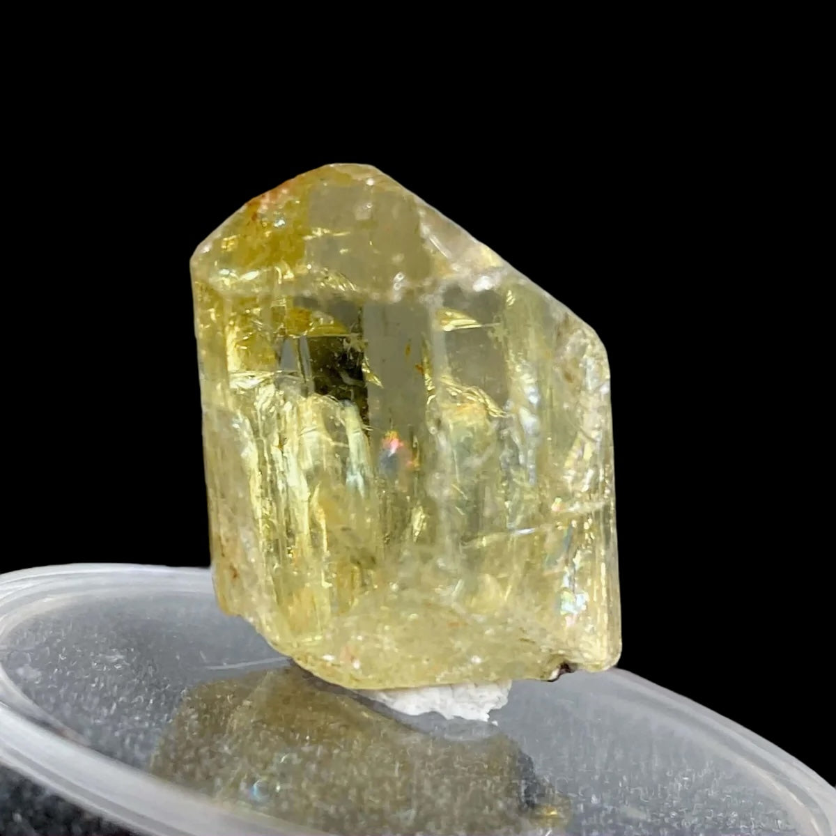 Golden Apatite for Manifestation and Clarity | Stock M Mooncat Crystals