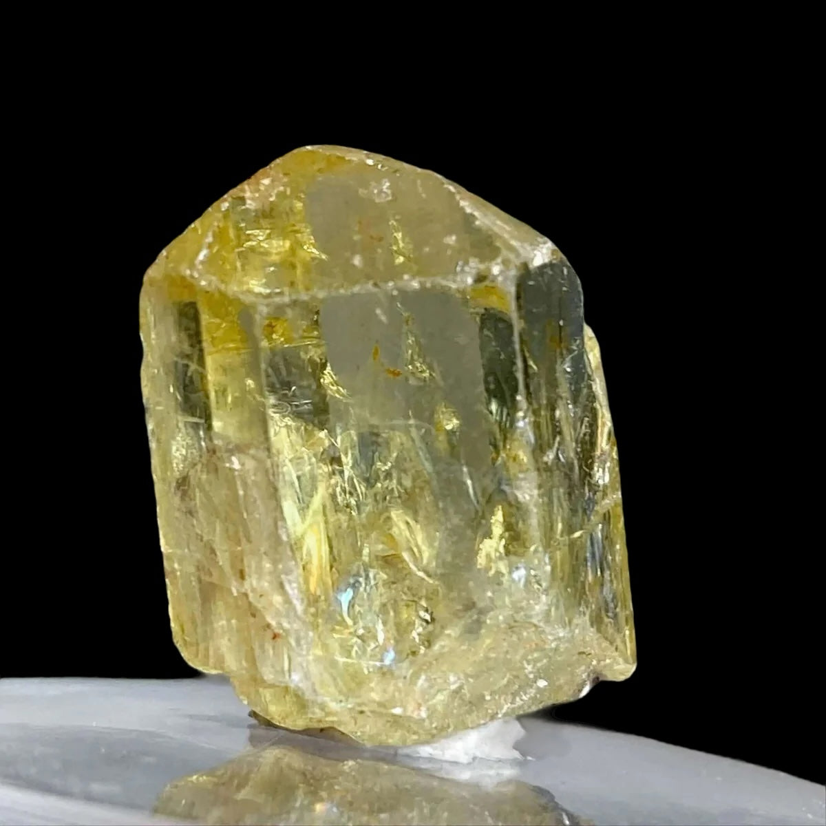 Golden Apatite for Manifestation and Clarity | Stock M Mooncat Crystals