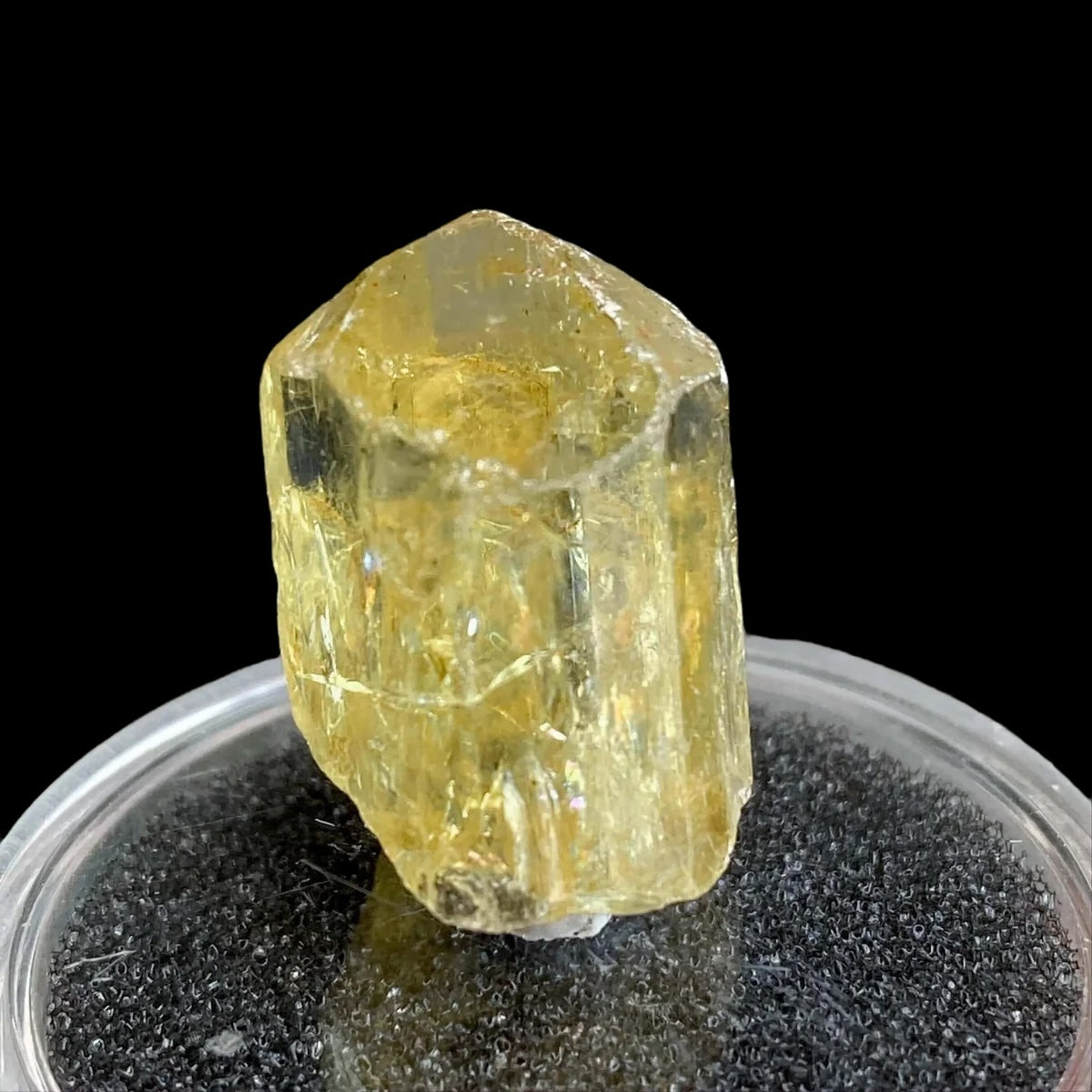 Golden Apatite for Manifestation and Clarity | Stock M Mooncat Crystals