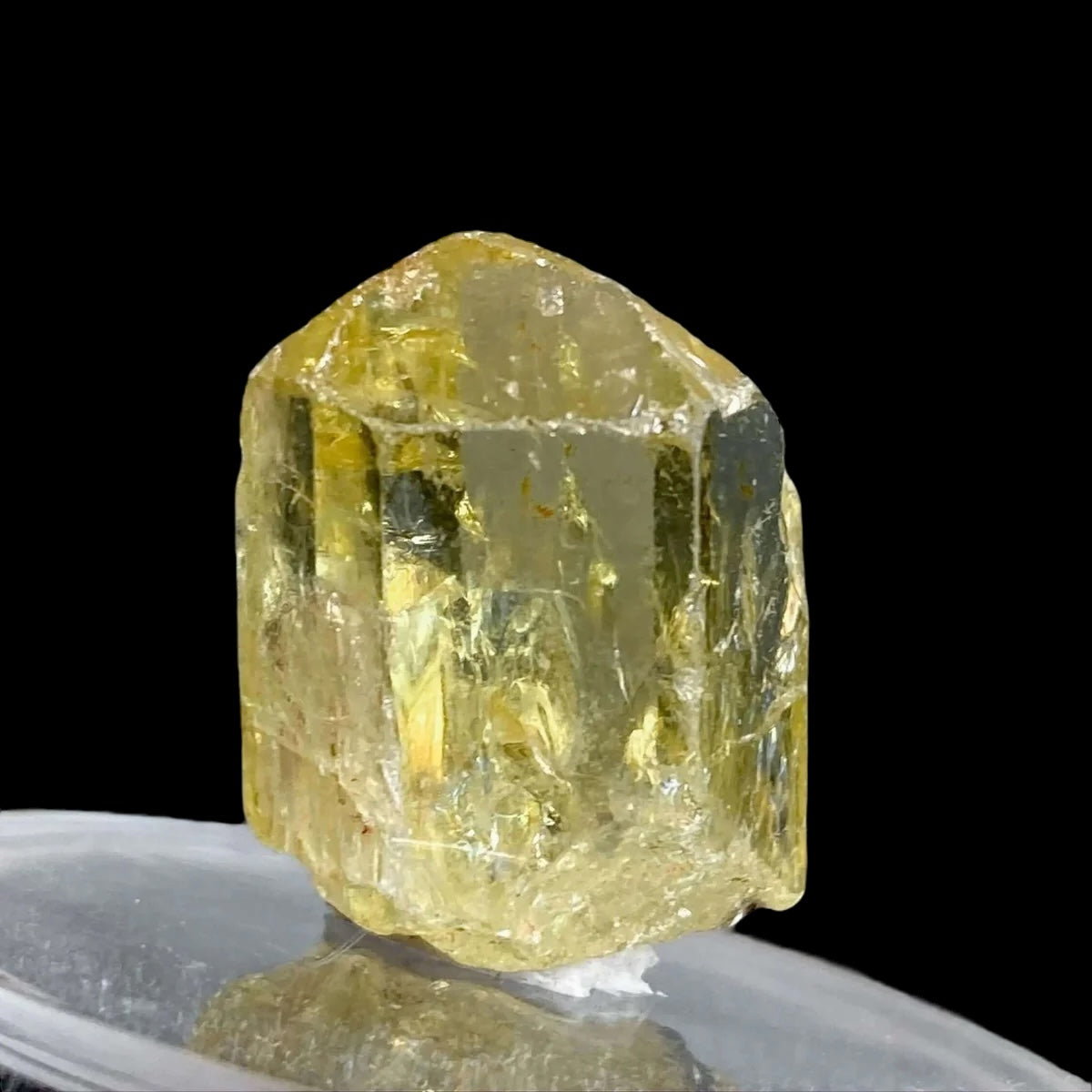 Golden Apatite for Manifestation and Clarity | Stock M Mooncat Crystals