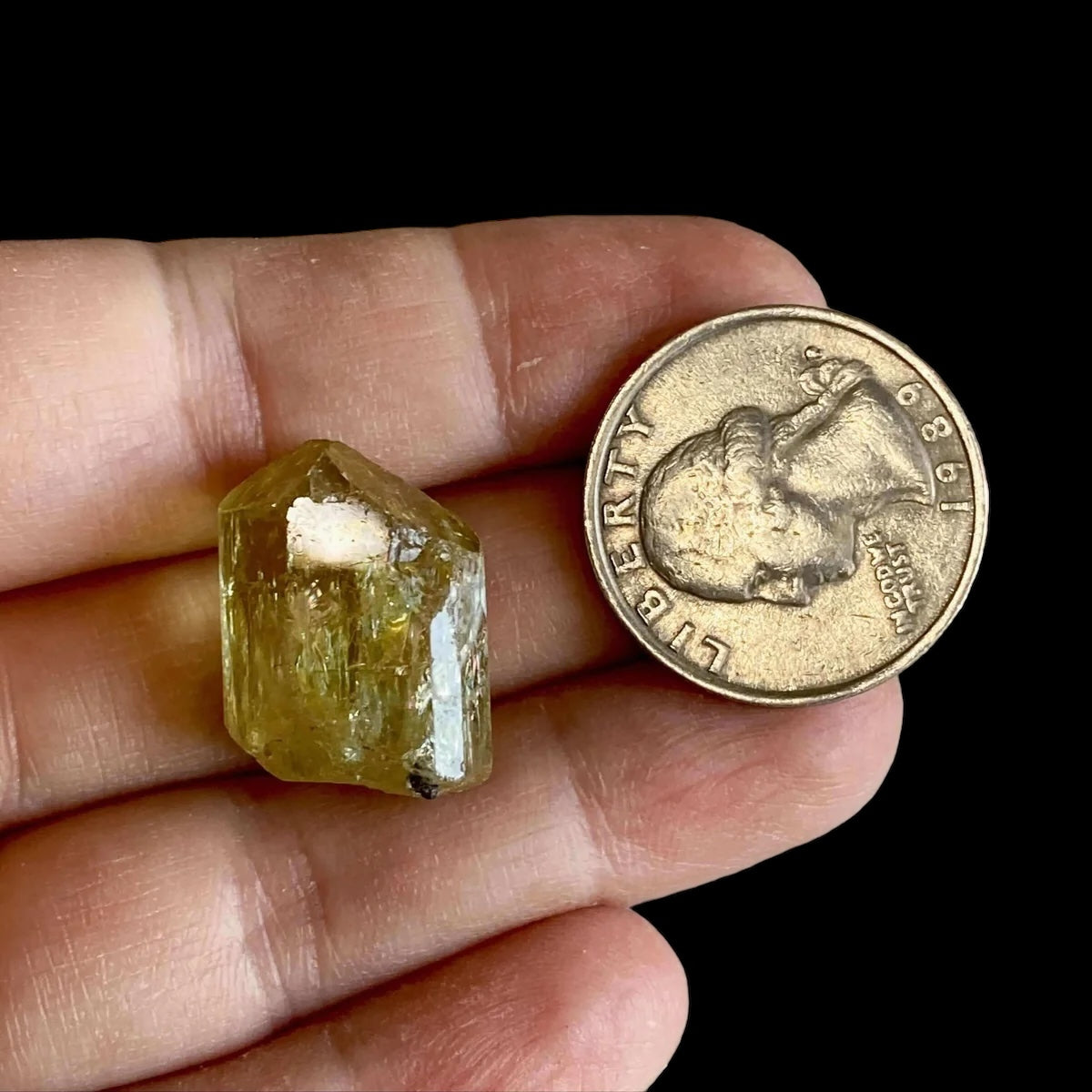 Golden Apatite for Manifestation and Clarity | Stock M Mooncat Crystals