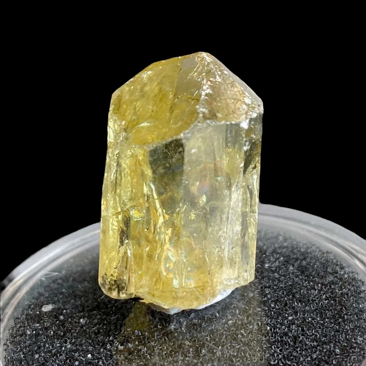 Golden Apatite for Manifestation and Clarity | Stock M Mooncat Crystals