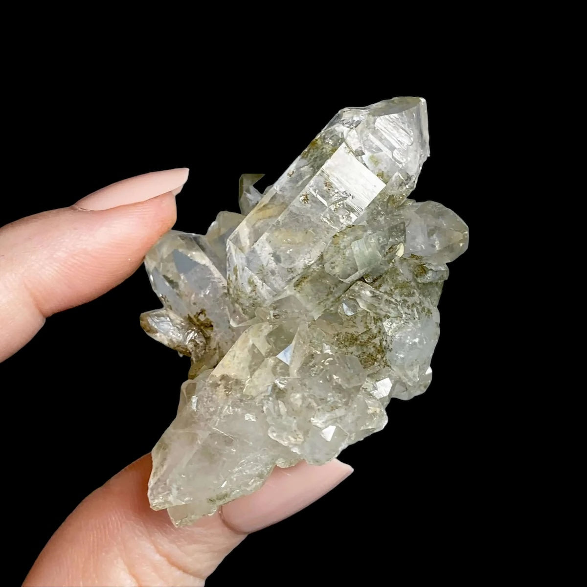 HEALING, PURIFICATION, LIFE FORCE:: Chlorite-Included Quartz | Stock A Mooncat Crystals