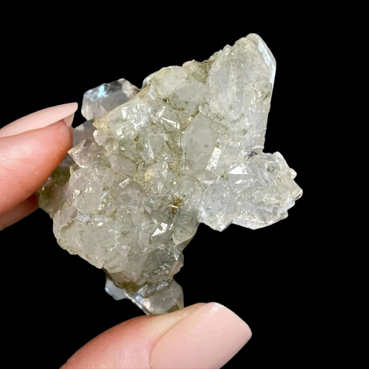 HEALING, PURIFICATION, LIFE FORCE:: Chlorite-Included Quartz | Stock A Mooncat Crystals