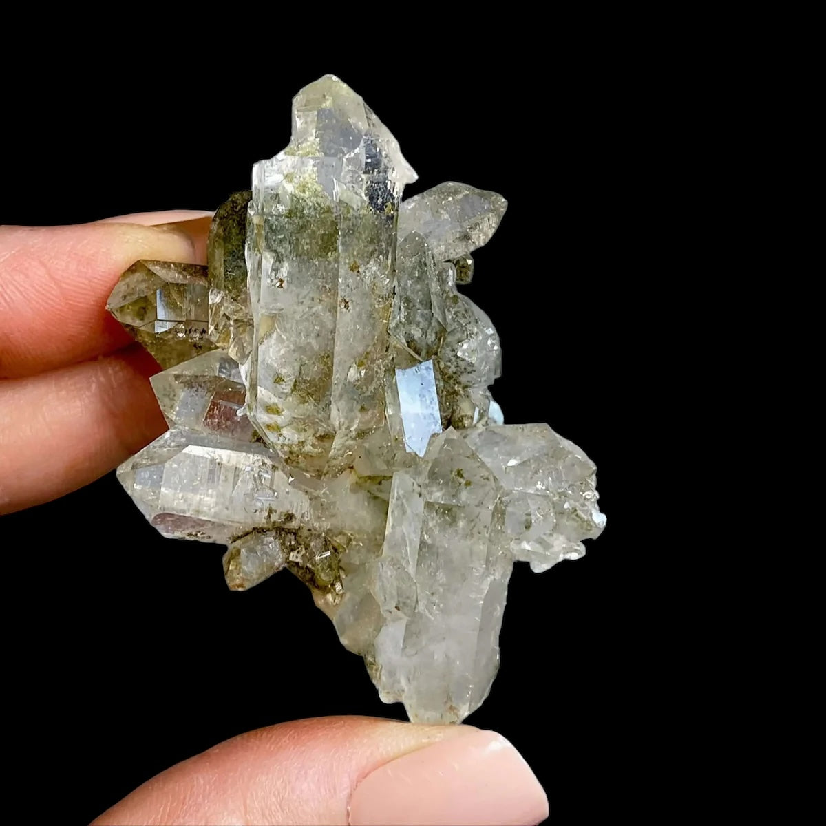 HEALING, PURIFICATION, LIFE FORCE:: Chlorite-Included Quartz | Stock A Mooncat Crystals