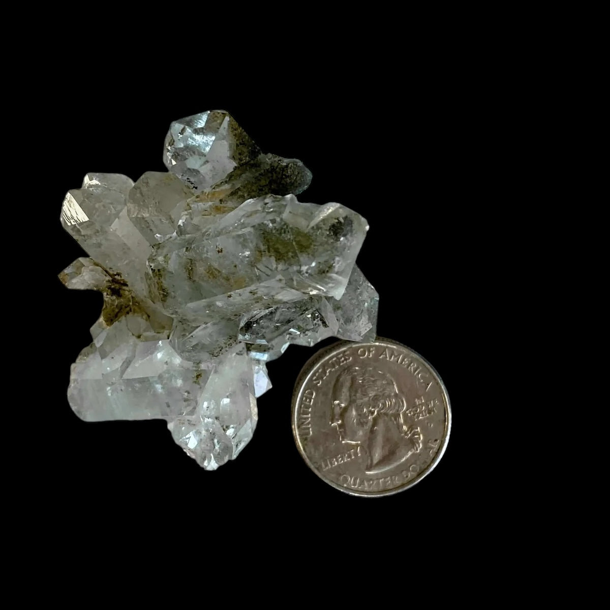 HEALING, PURIFICATION, LIFE FORCE:: Chlorite-Included Quartz | Stock A Mooncat Crystals