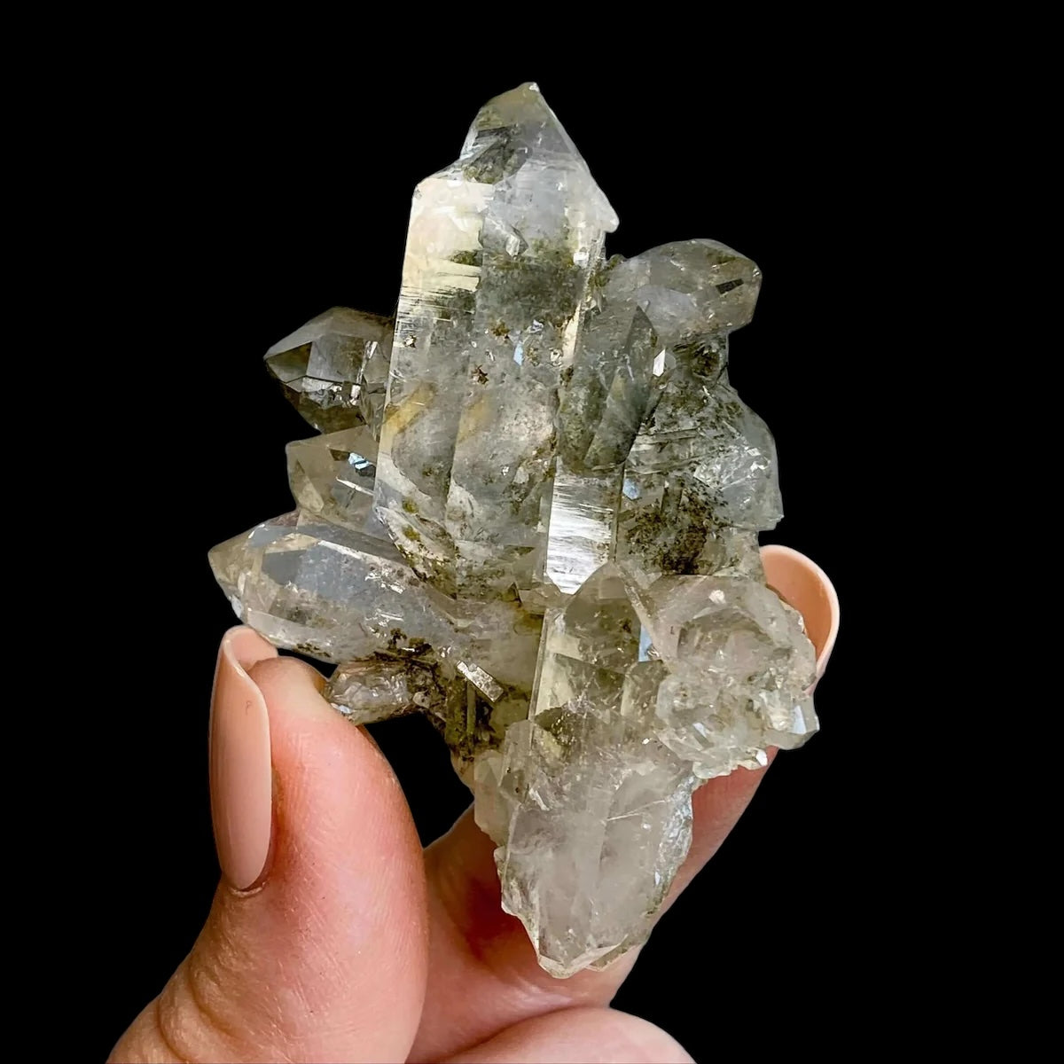 HEALING, PURIFICATION, LIFE FORCE:: Chlorite-Included Quartz | Stock A Mooncat Crystals