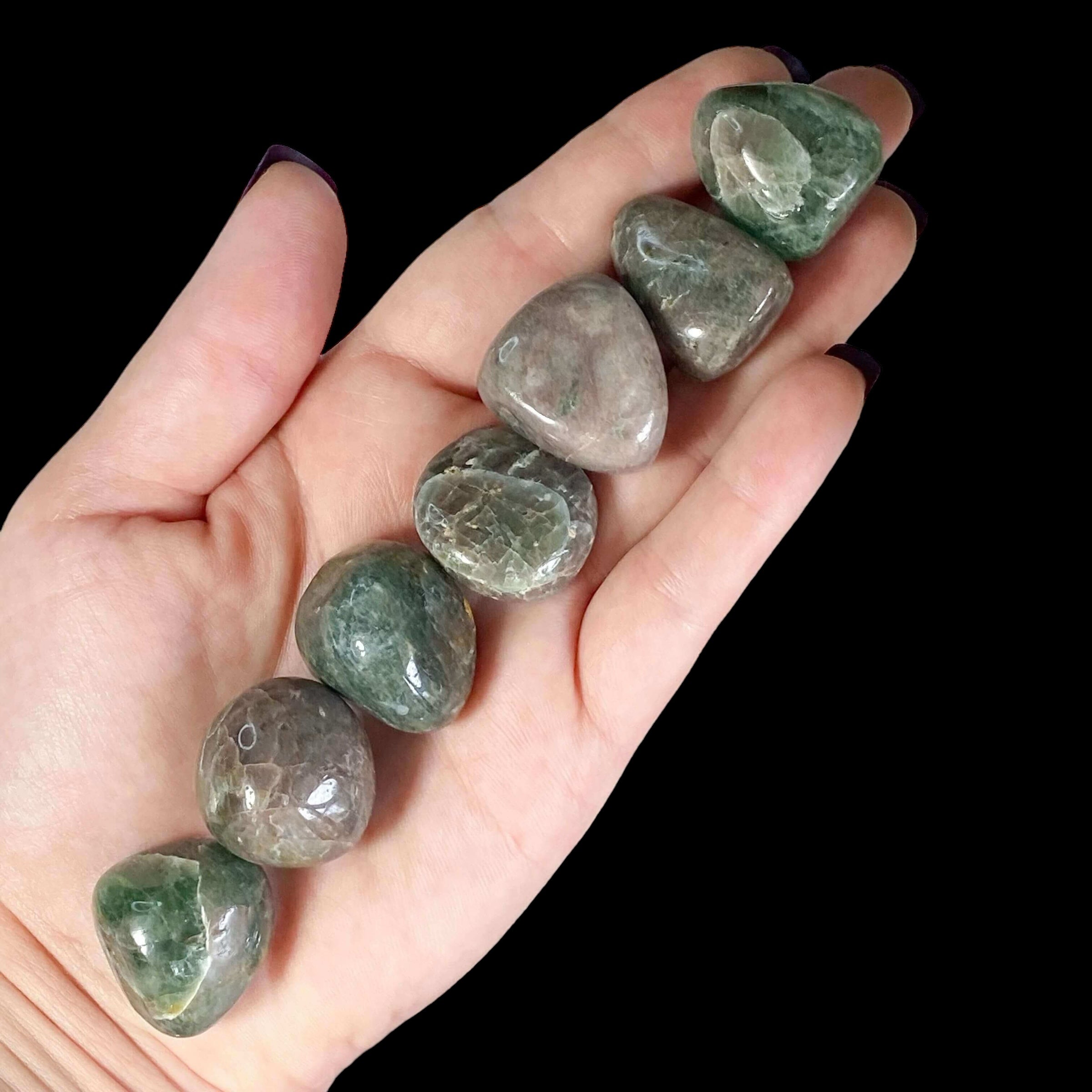 HEART HEALING + PERSONAL GROWTH:: Diopside Tumbles | Set of 2 Mooncat Crystals