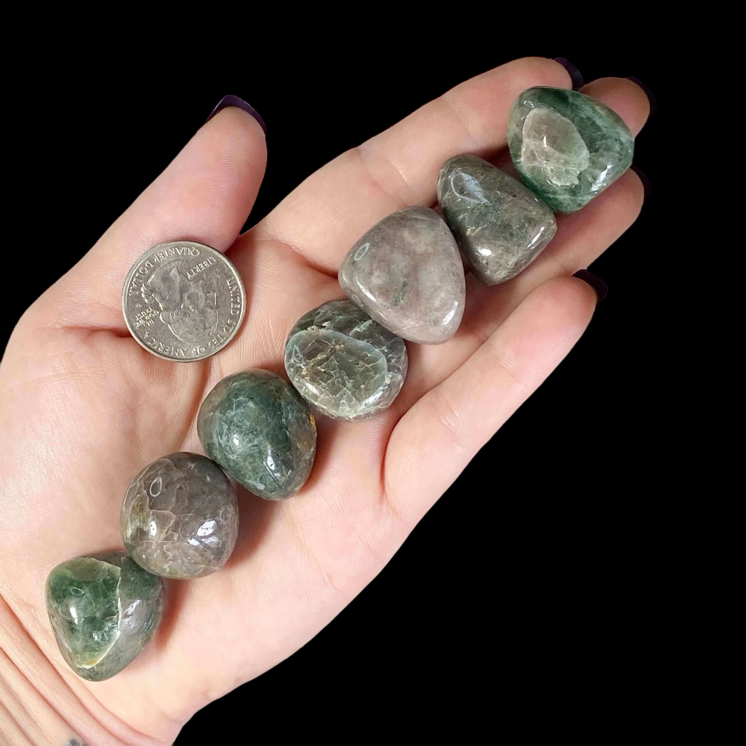 HEART HEALING + PERSONAL GROWTH:: Diopside Tumbles | Set of 2 Mooncat Crystals