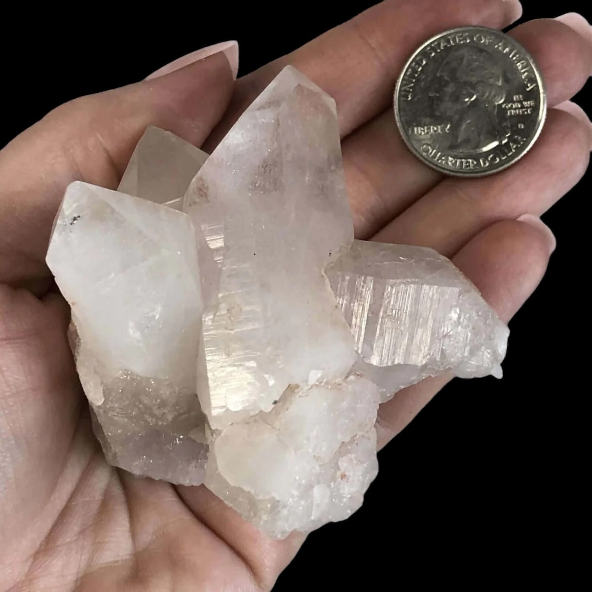 Himalayan “Samadhi” Quartz for Spiritual Elevation | Stock A Mooncat Crystals