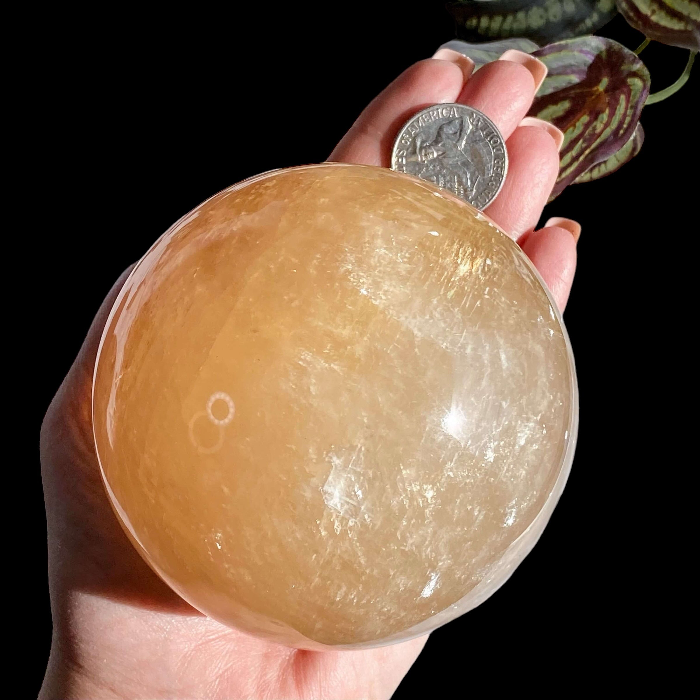 Honey Calcite Sphere for Confidence and Clarity | Stock A Mooncat Crystals