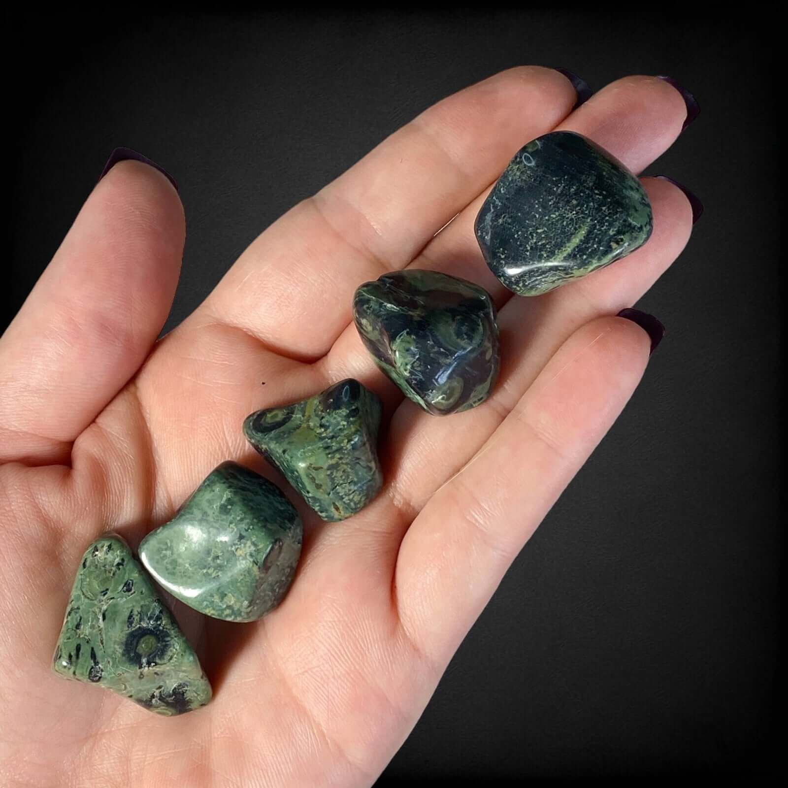 Kambaba Jasper Tumbles for Calming and Renewal | Set of 2 Mooncat Crystals