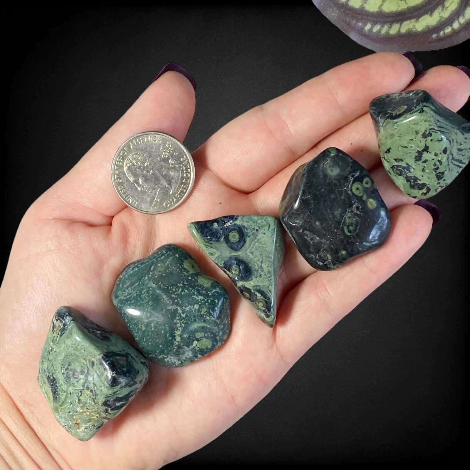 Kambaba Jasper Tumbles for Calming and Renewal | Set of 2 Mooncat Crystals