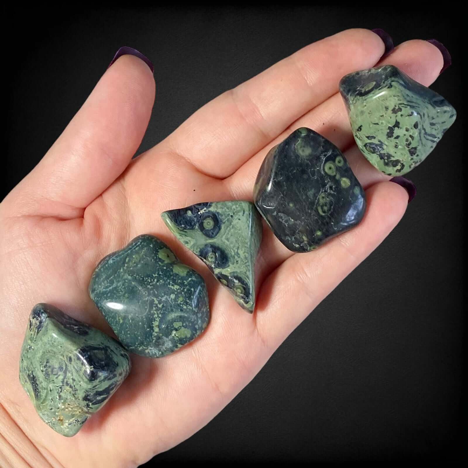 Kambaba Jasper Tumbles for Calming and Renewal | Set of 2 Mooncat Crystals