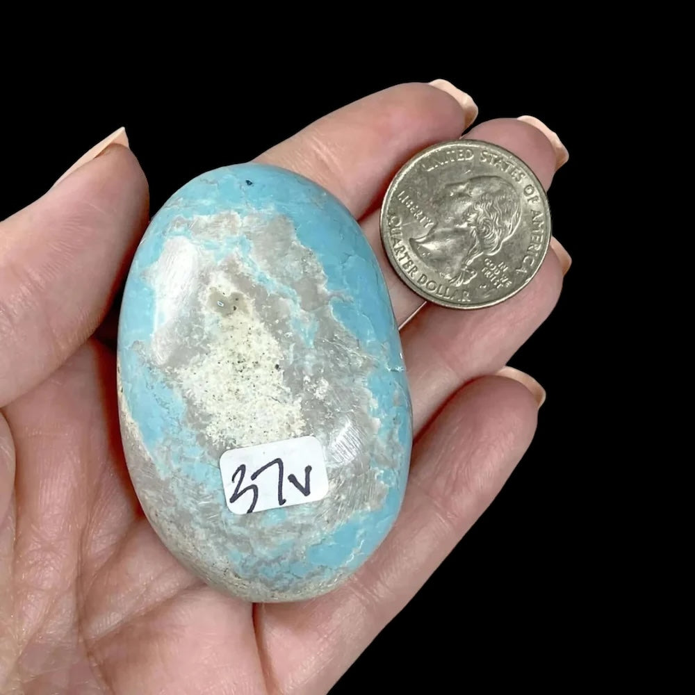 Madagascan Turquoise Palm Stone for Harmony and Healing | Stock V Mooncat Crystals