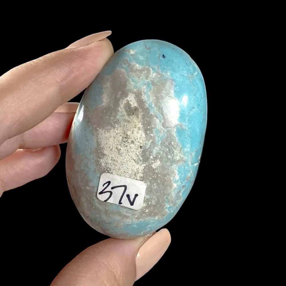 Madagascan Turquoise Palm Stone for Harmony and Healing | Stock V Mooncat Crystals