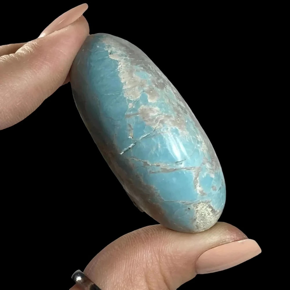 Madagascan Turquoise Palm Stone for Harmony and Healing | Stock V Mooncat Crystals