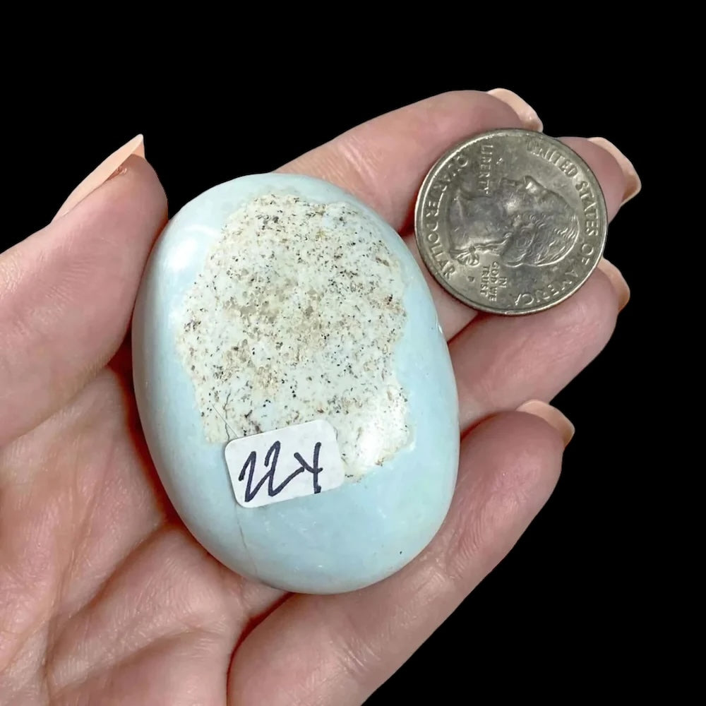 Madagascan Turquoise Palm Stone for Harmony and Healing | Stock Y Mooncat Crystals