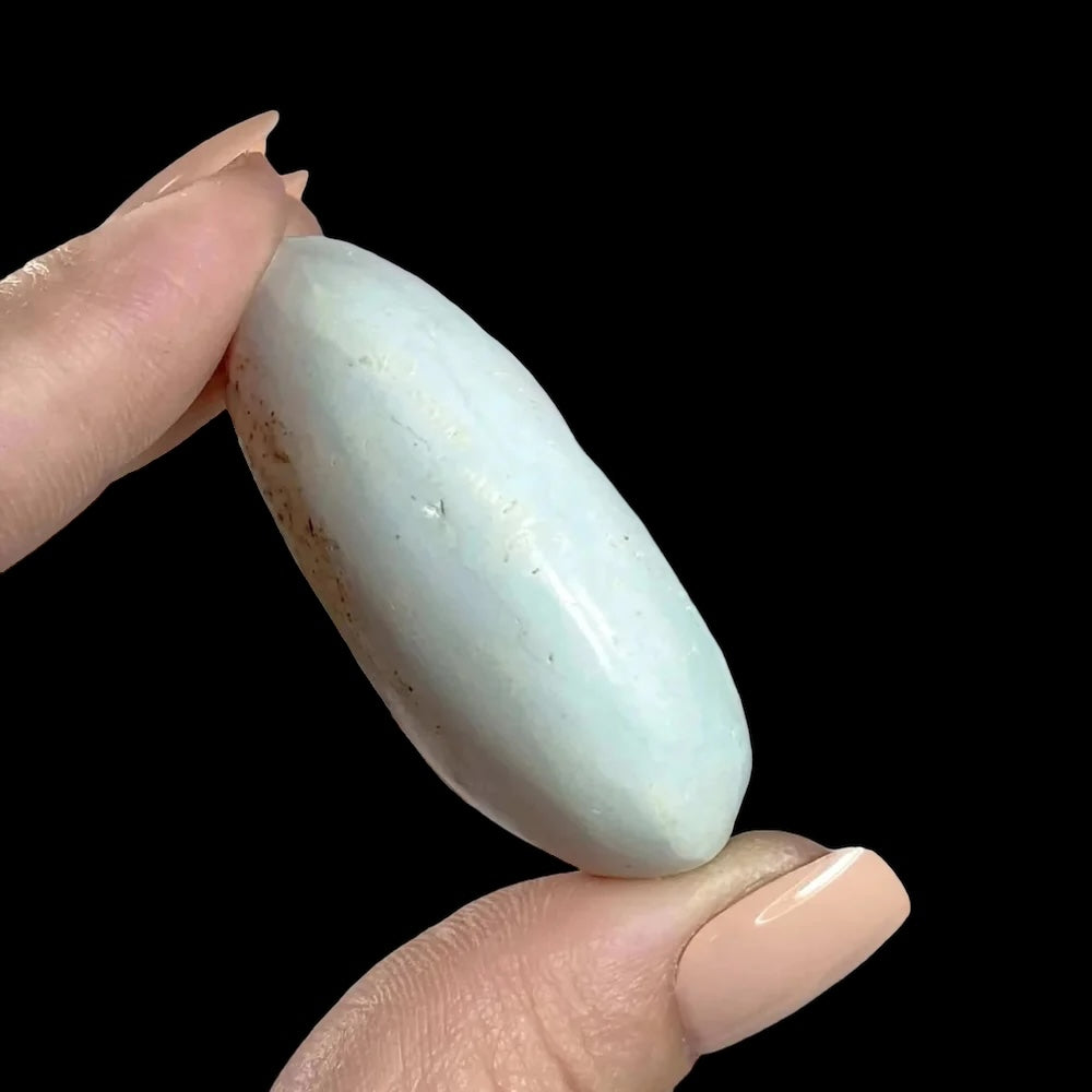 Madagascan Turquoise Palm Stone for Harmony and Healing | Stock Y Mooncat Crystals