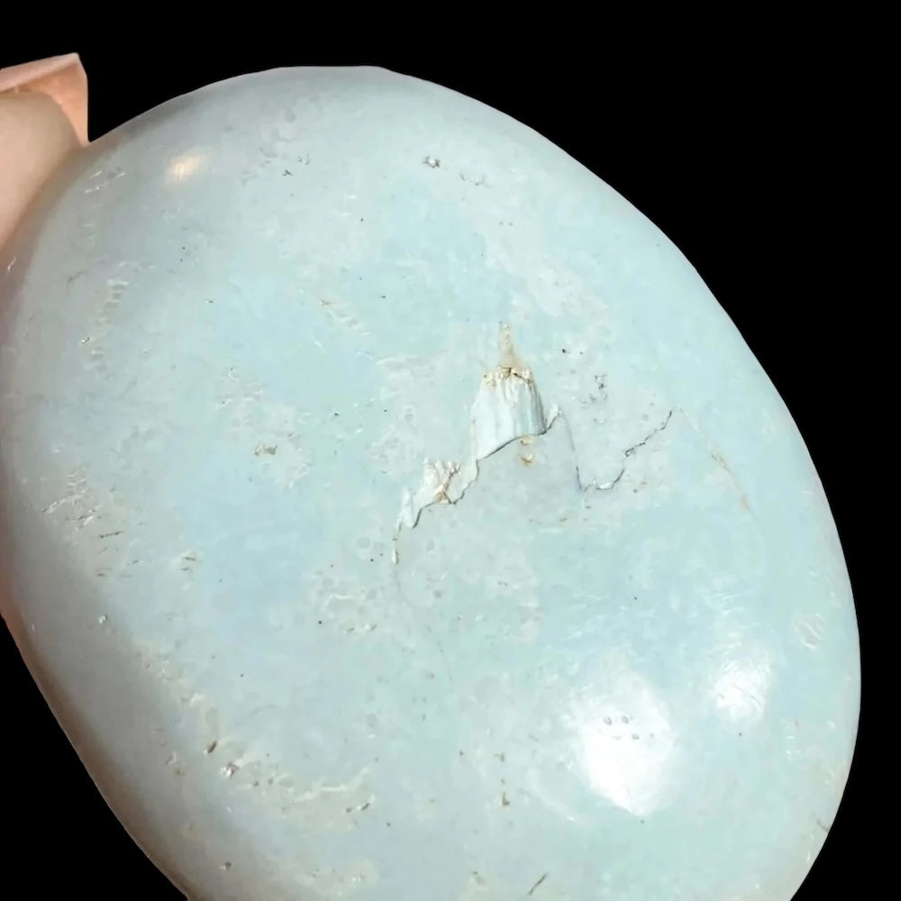 Madagascan Turquoise Palm Stone for Harmony and Healing | Stock Y Mooncat Crystals