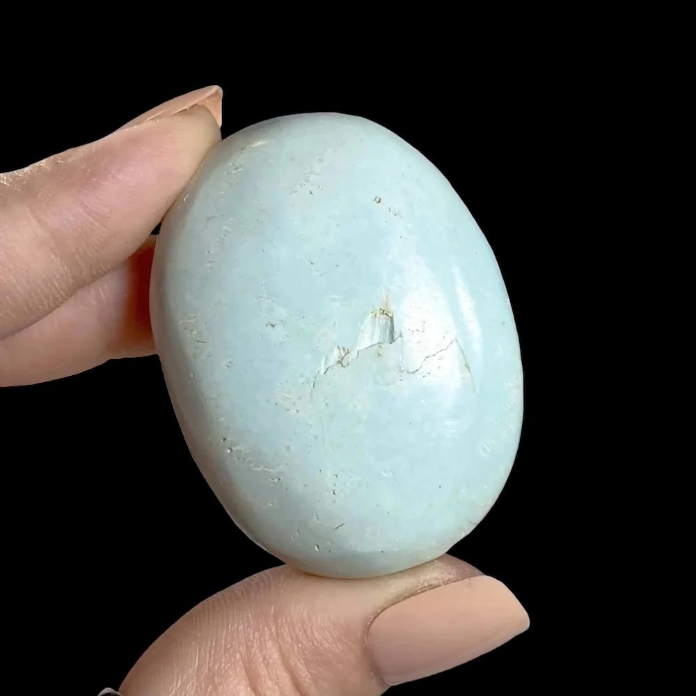 Madagascan Turquoise Palm Stone for Harmony and Healing | Stock Y Mooncat Crystals