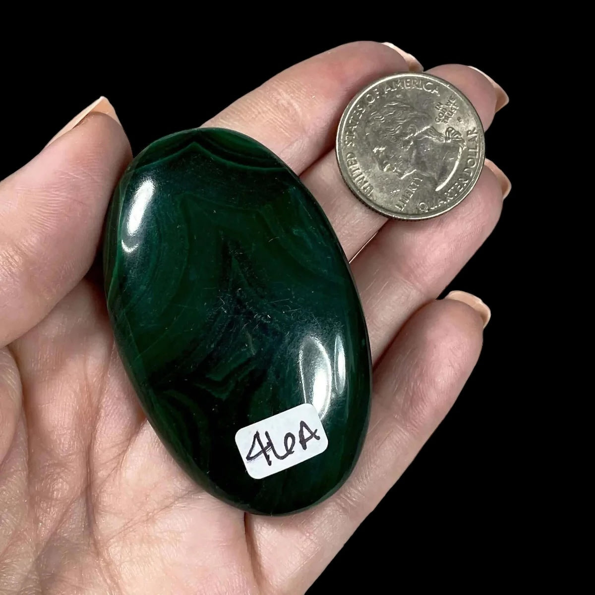 Malachite Palm Stone for Transformation and Confidence | Stock A Mooncat Crystals